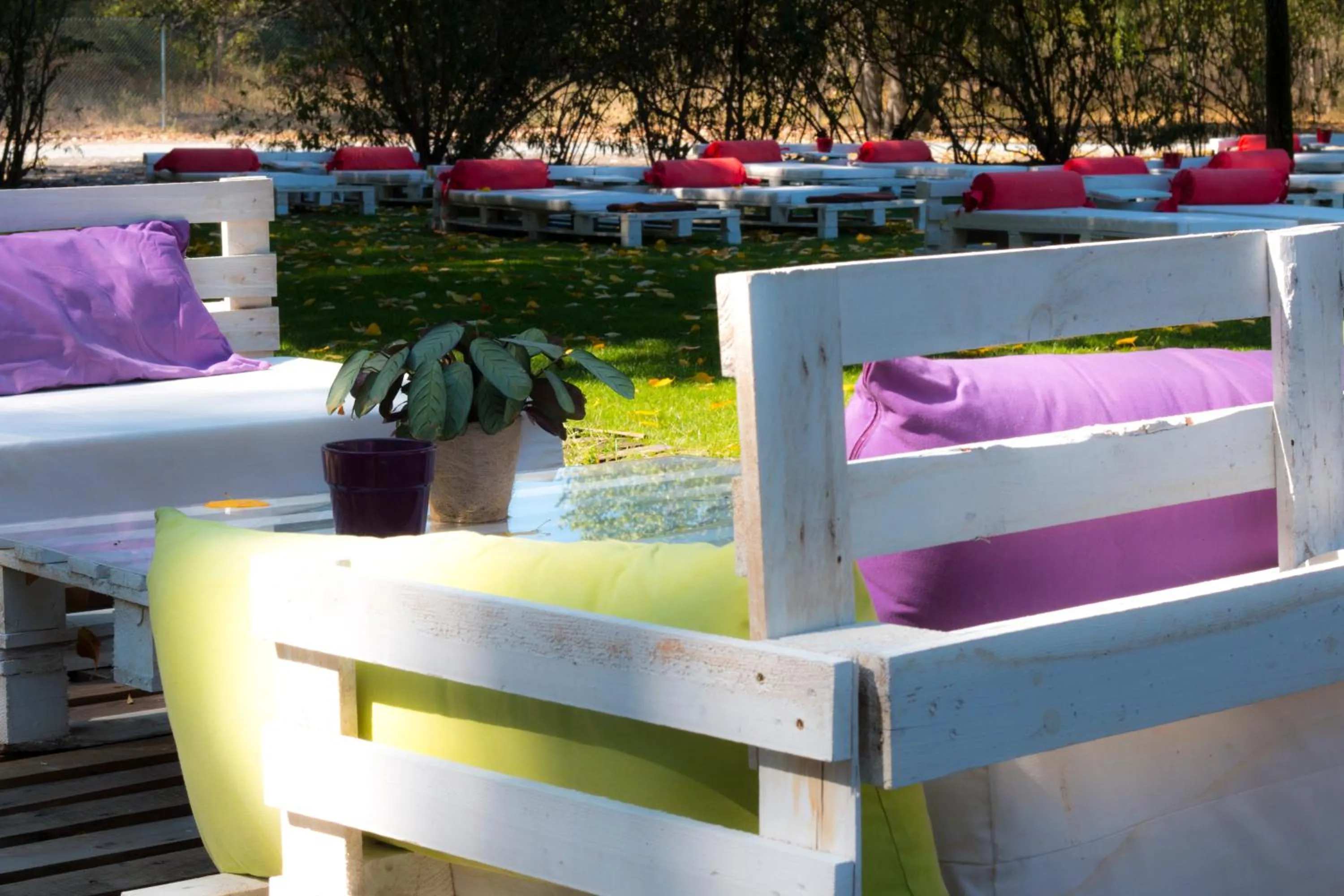 Garden in Hotel Balneario Valle del Jerte