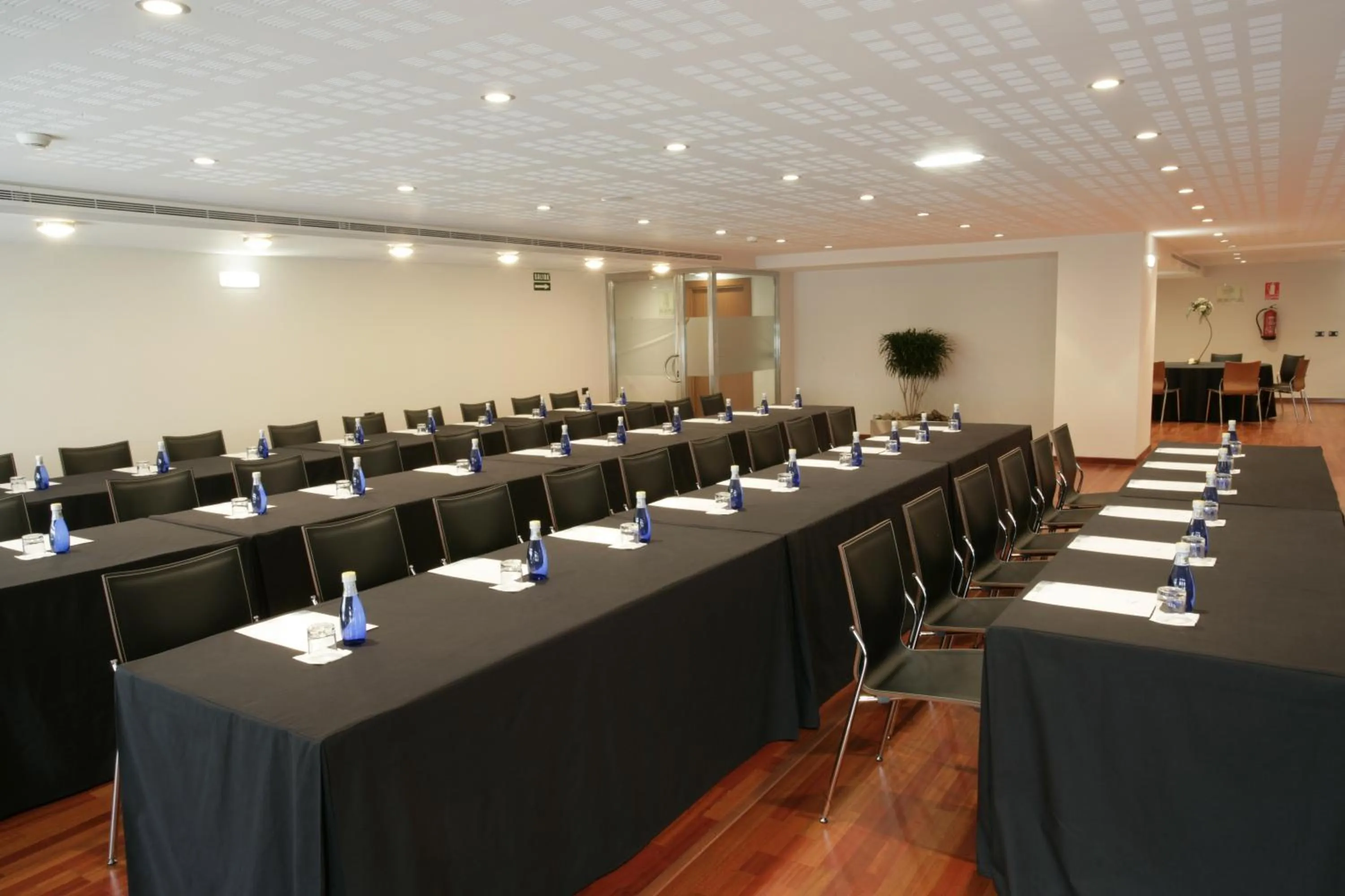 Business facilities in Hotel Europa