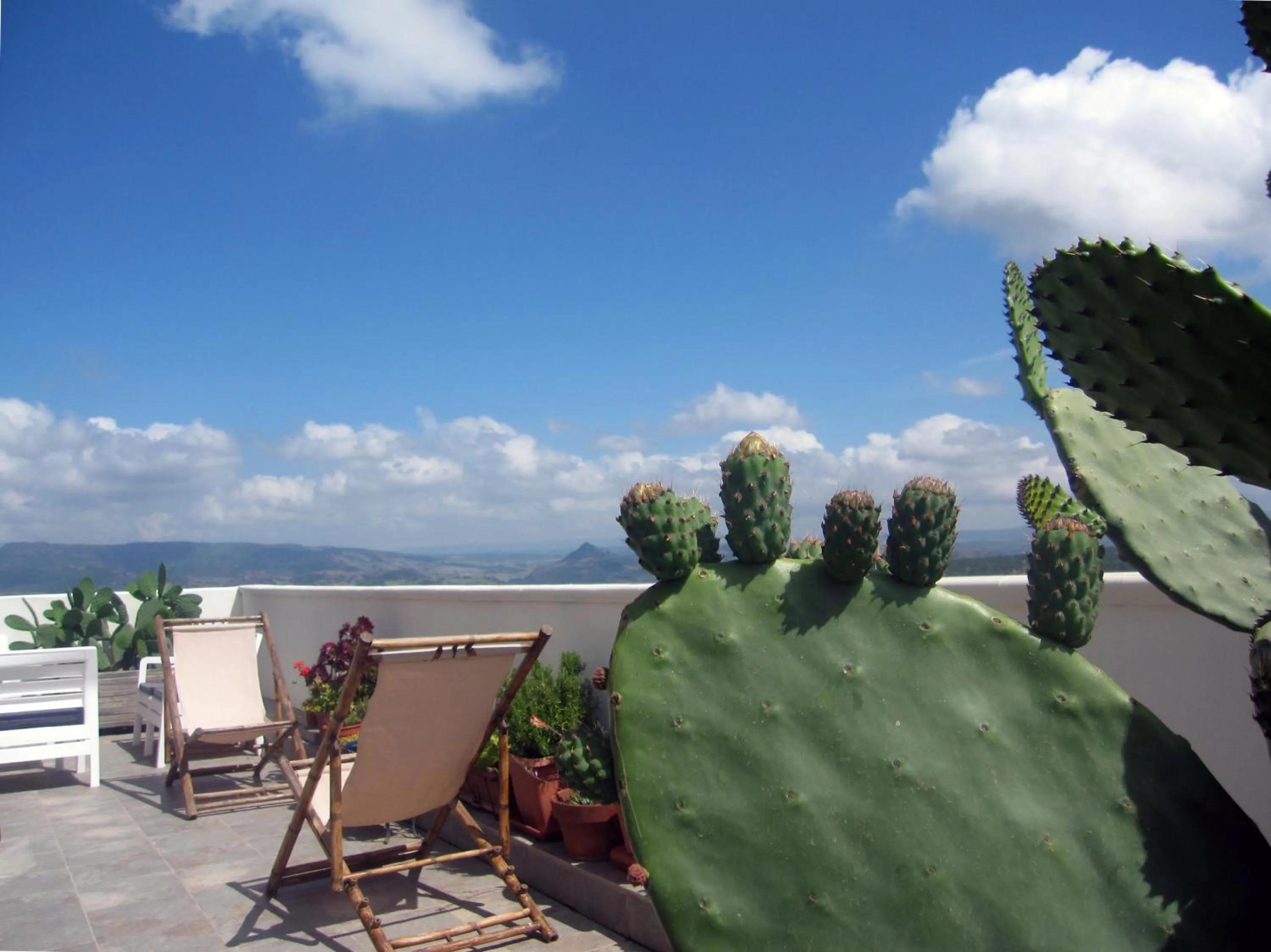 View (from property/room) in Brancadoria B&B