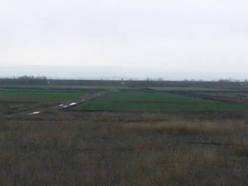 Area and facilities in Hotel Alfinden