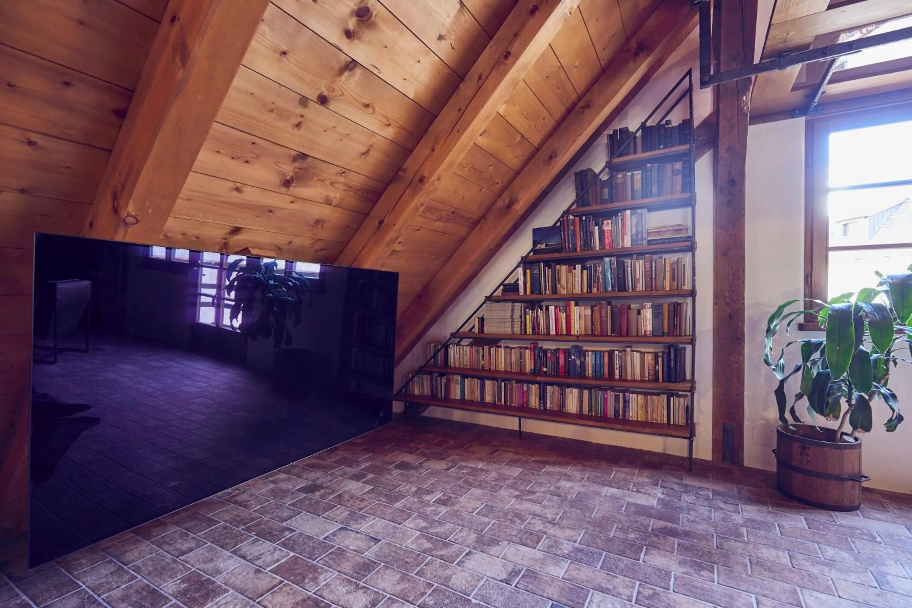 TV and multimedia in Mill Apartments