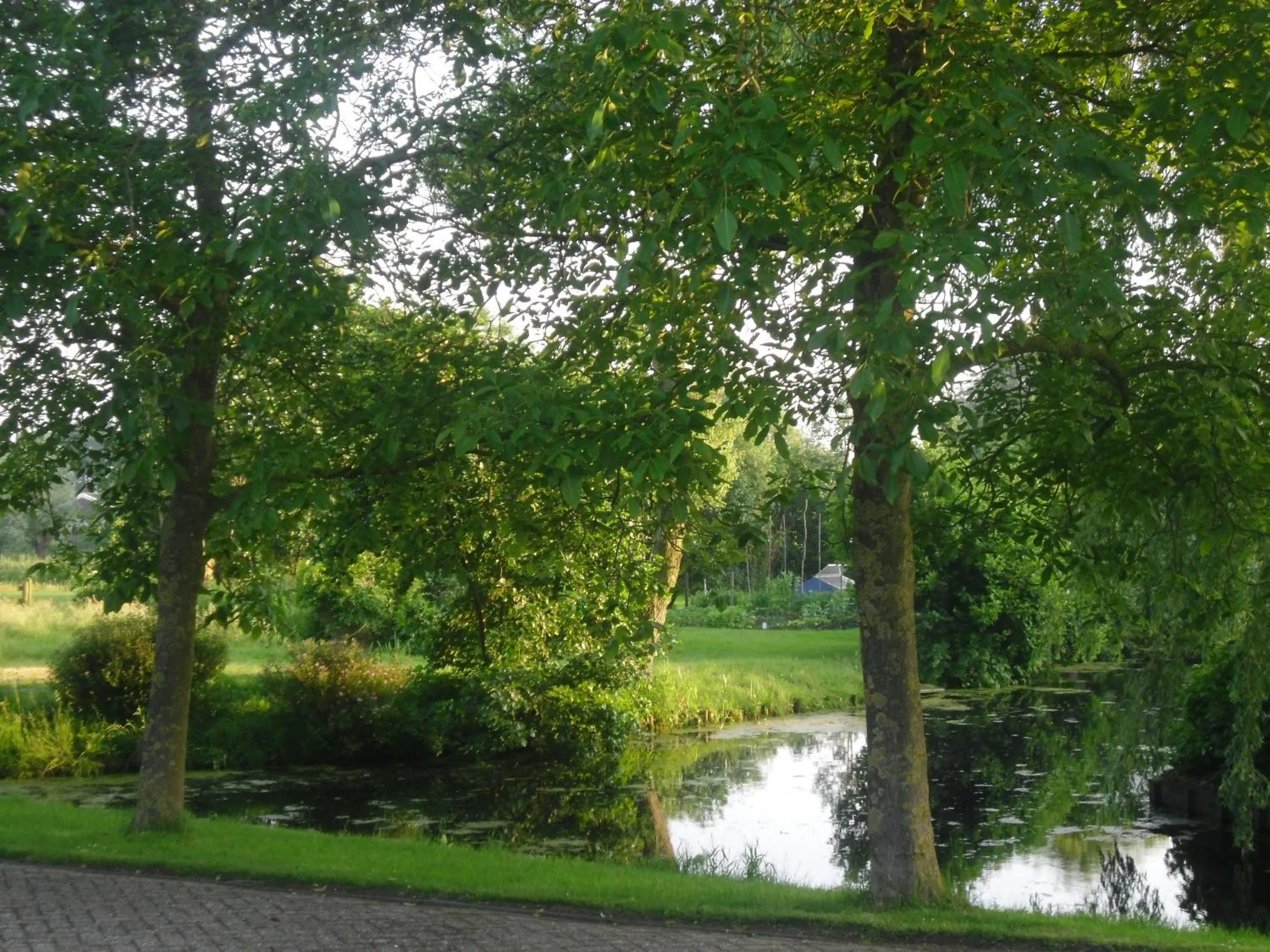 Natural landscape in Bed and breakfast Hoeve Spoorzicht