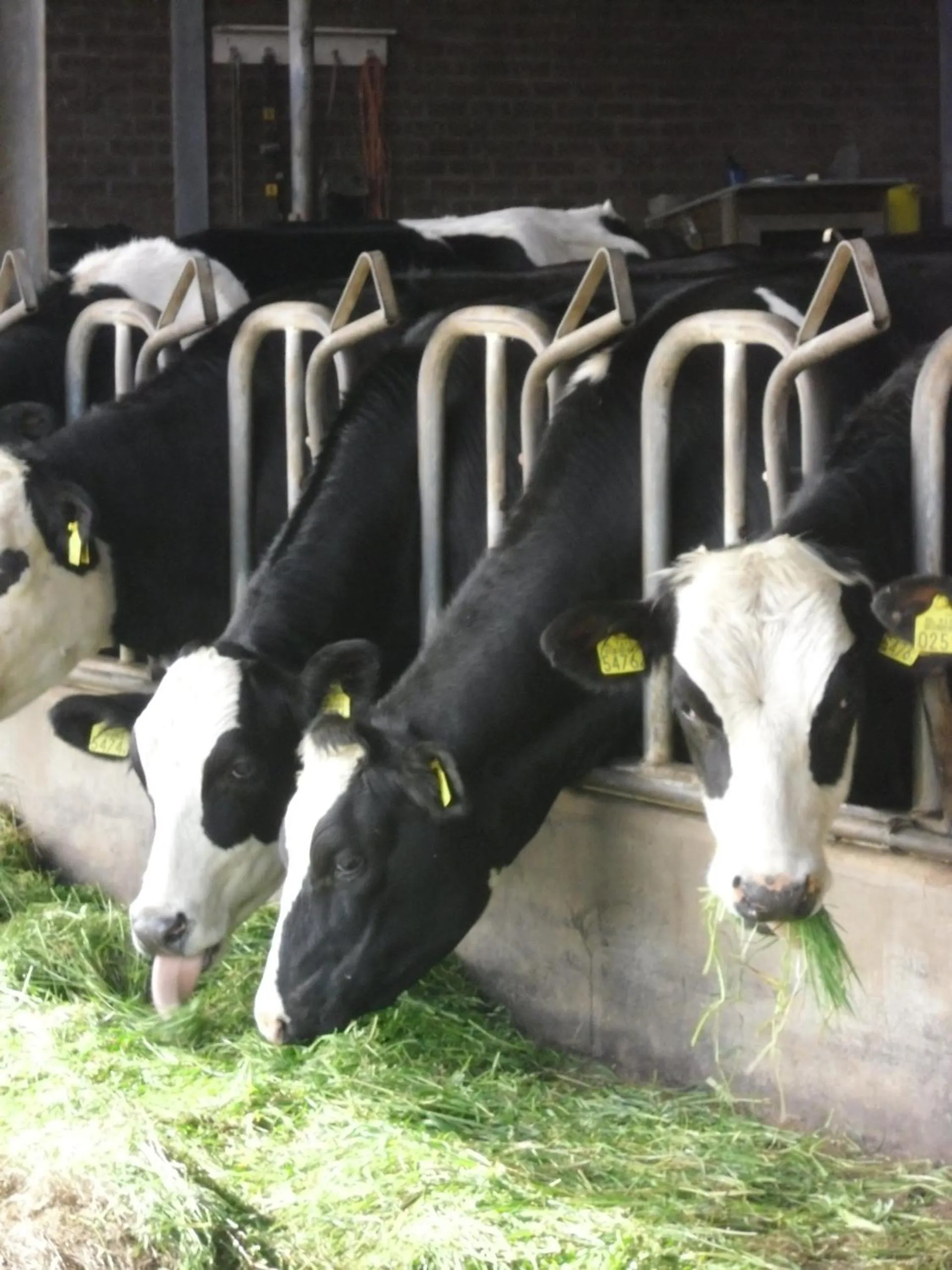 Bed and breakfast Hoeve Spoorzicht