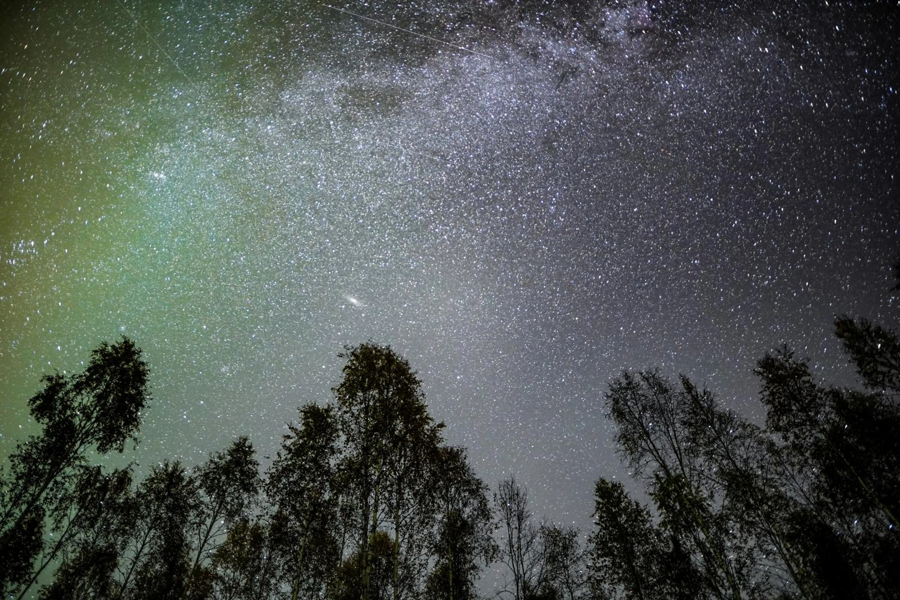 Night in Silver Birch Resort Lapland