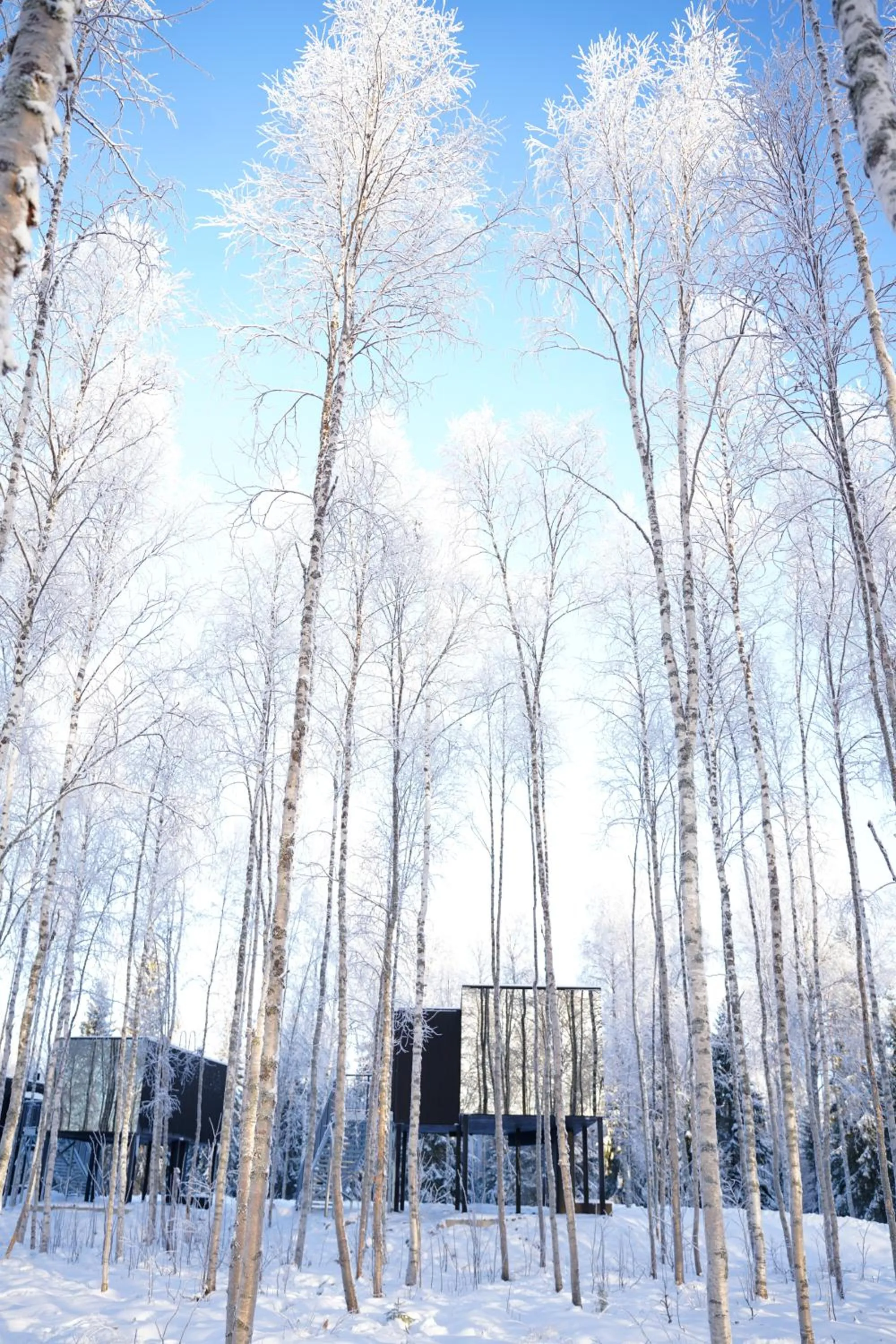 Property building in Silver Birch Resort Lapland