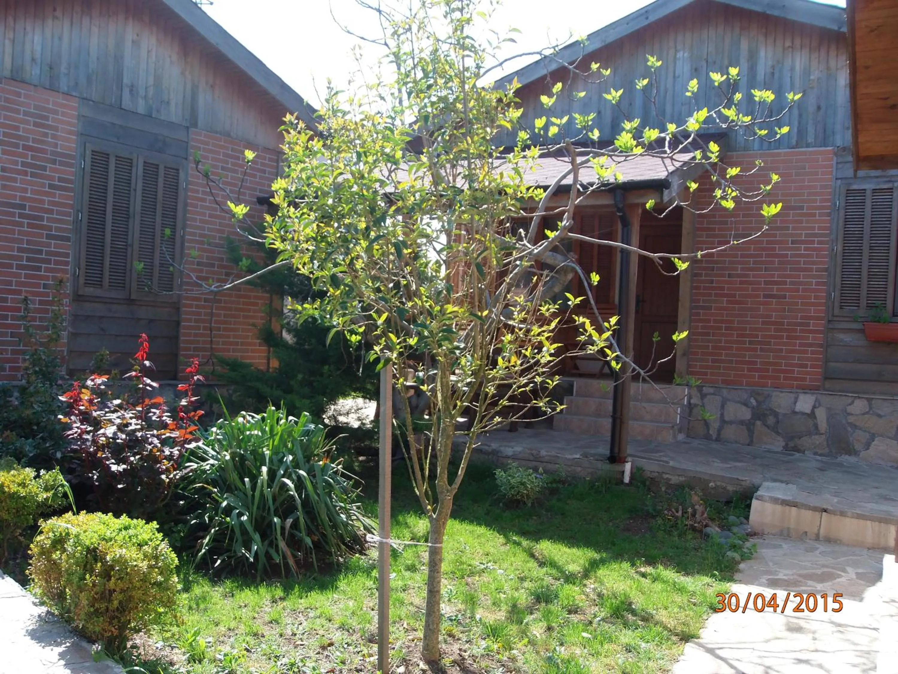 Villas and Bungalows Panorama