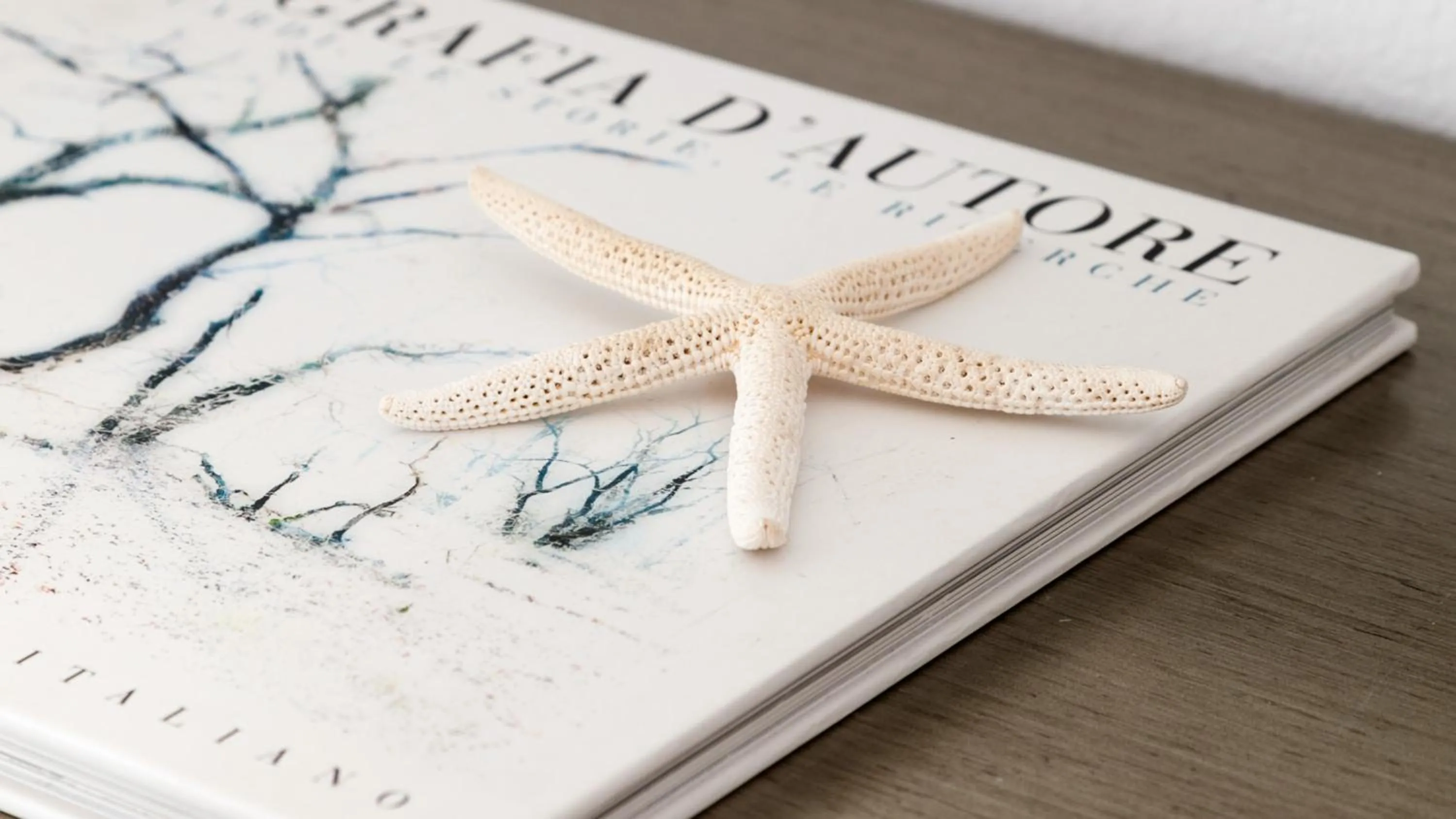 Decorative detail in Lilly Residence-All Sea View Suites, Adults Only