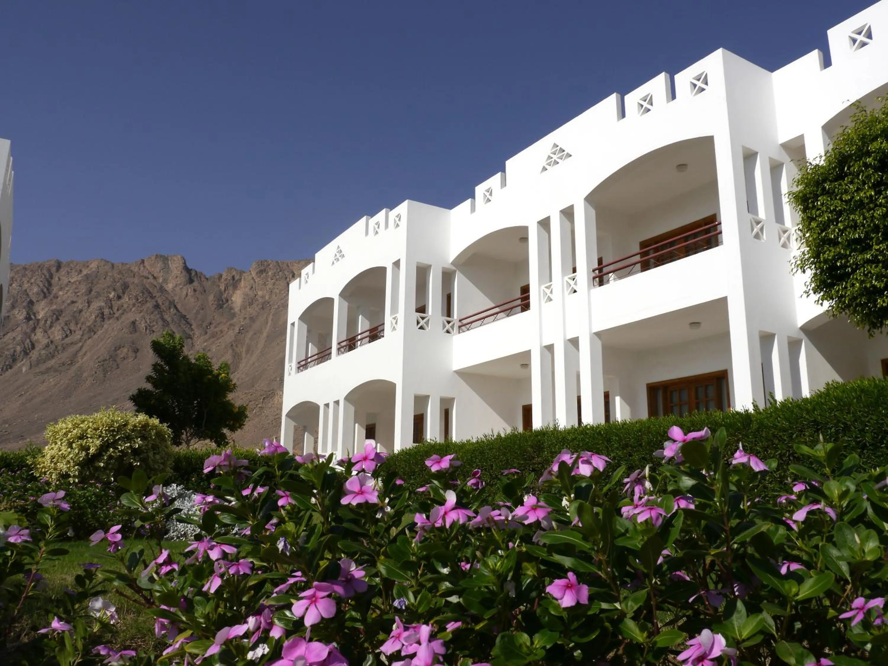 Property building in Happy Life Village Dahab