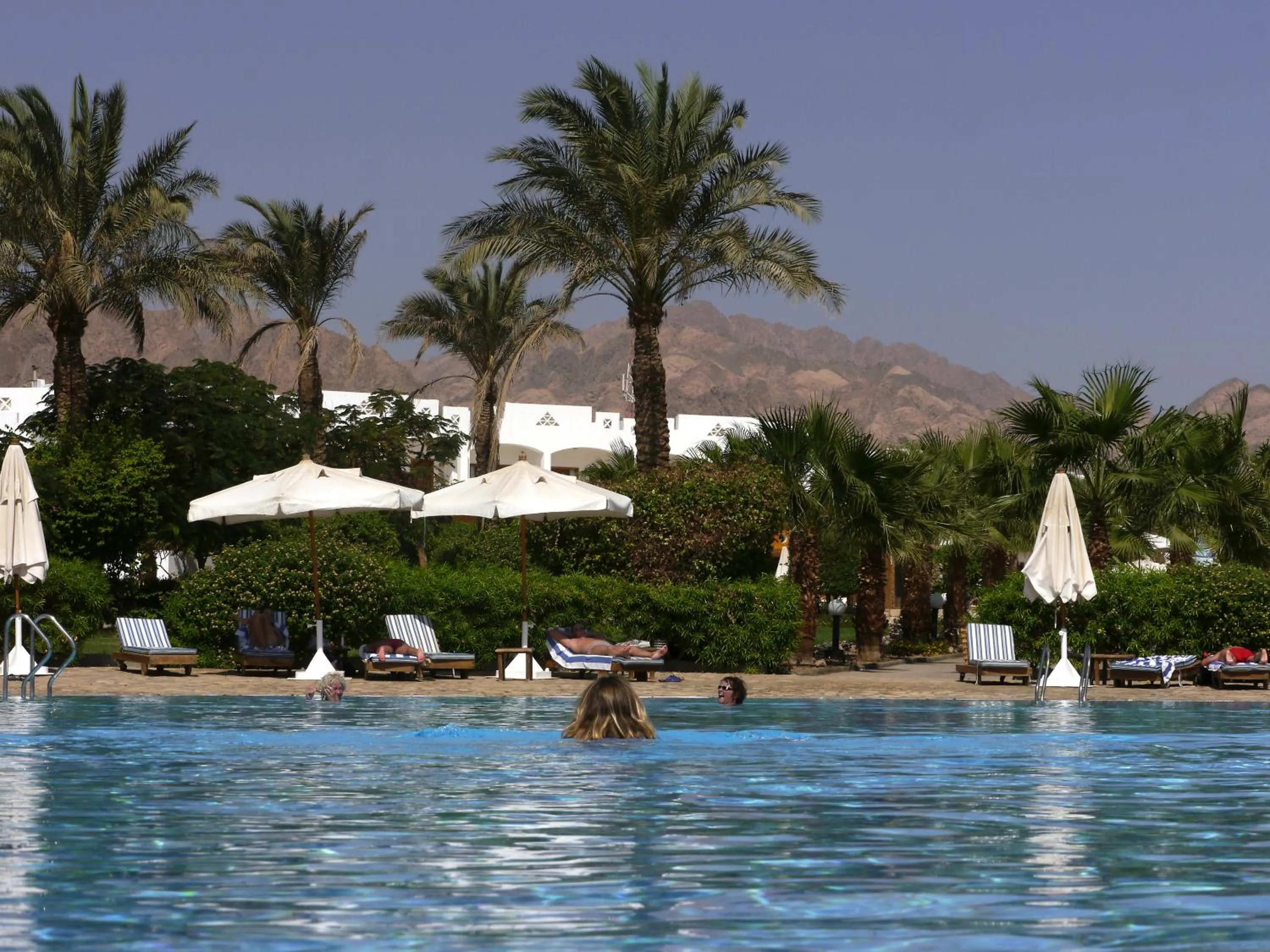 Swimming pool in Happy Life Village Dahab