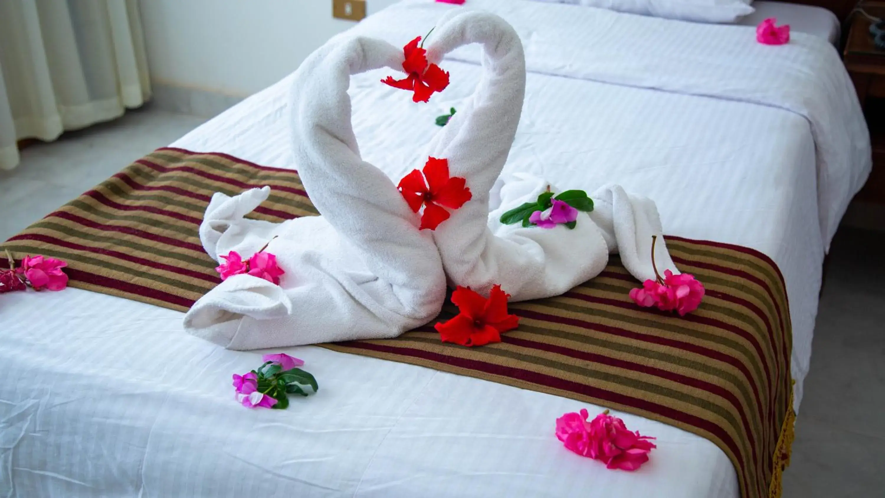 Double Room with Mountain View - single occupancy in Happy Life Village Dahab Double Room with Mountain View - single occupancy in Happy Life Village Dahab