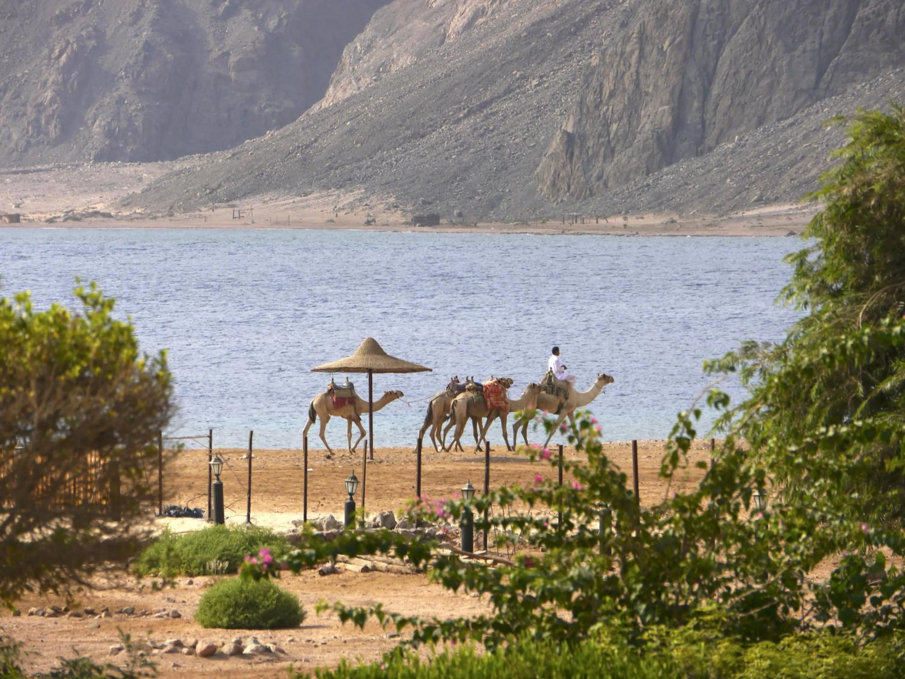 Natural landscape in Happy Life Village Dahab