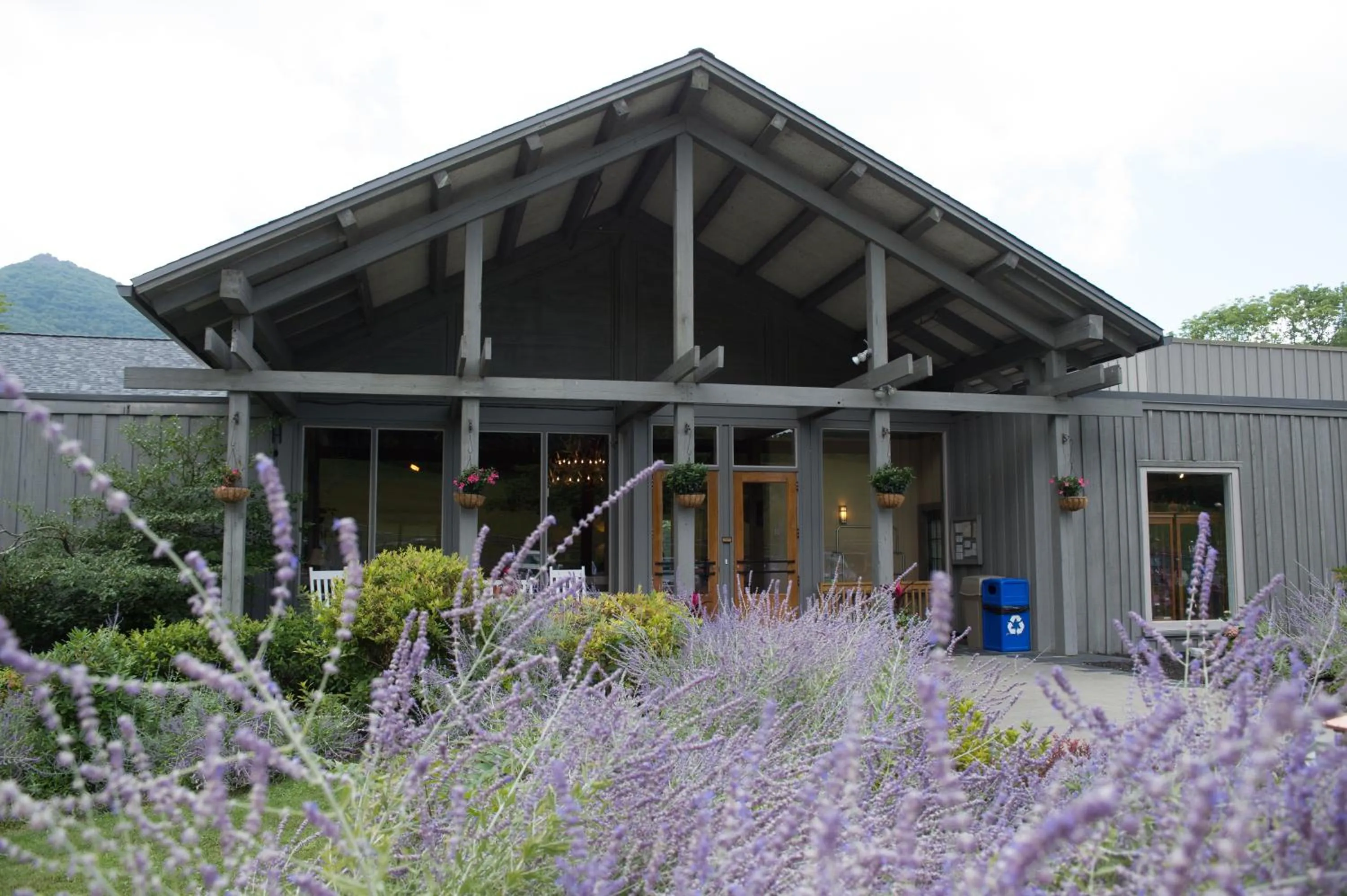 Peaks of Otter Lodge