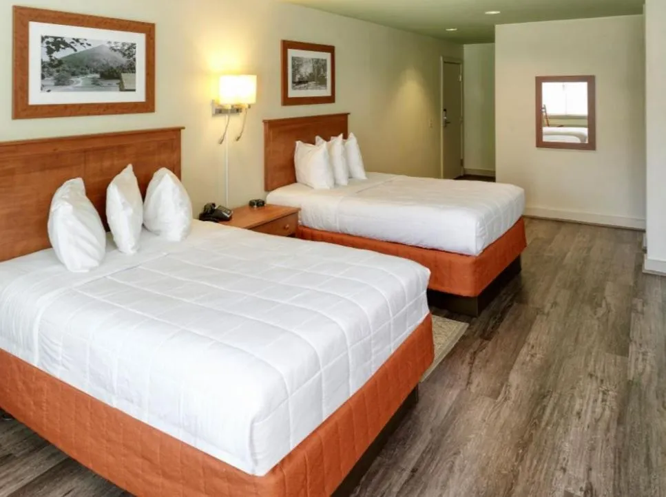 Bed in Peaks of Otter Lodge