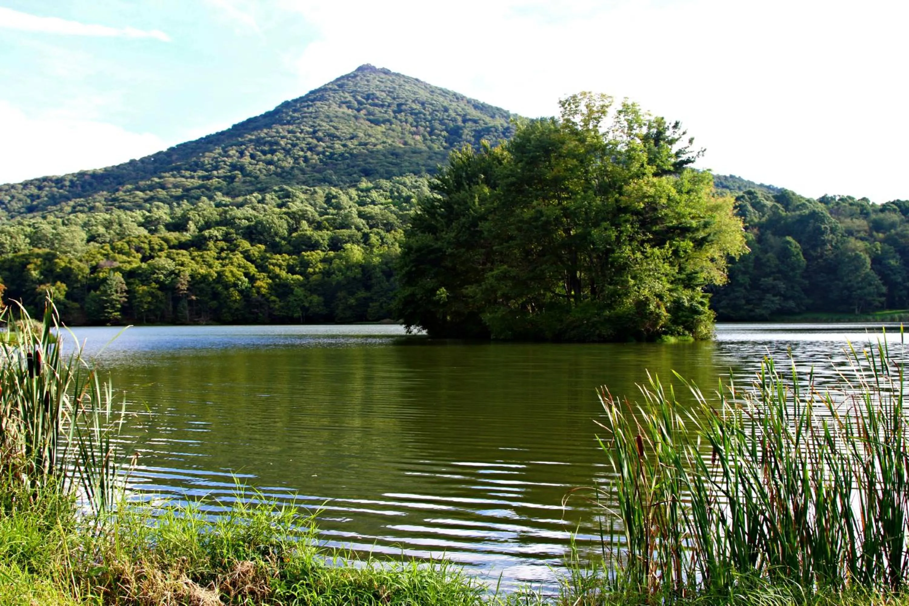 Peaks of Otter Lodge