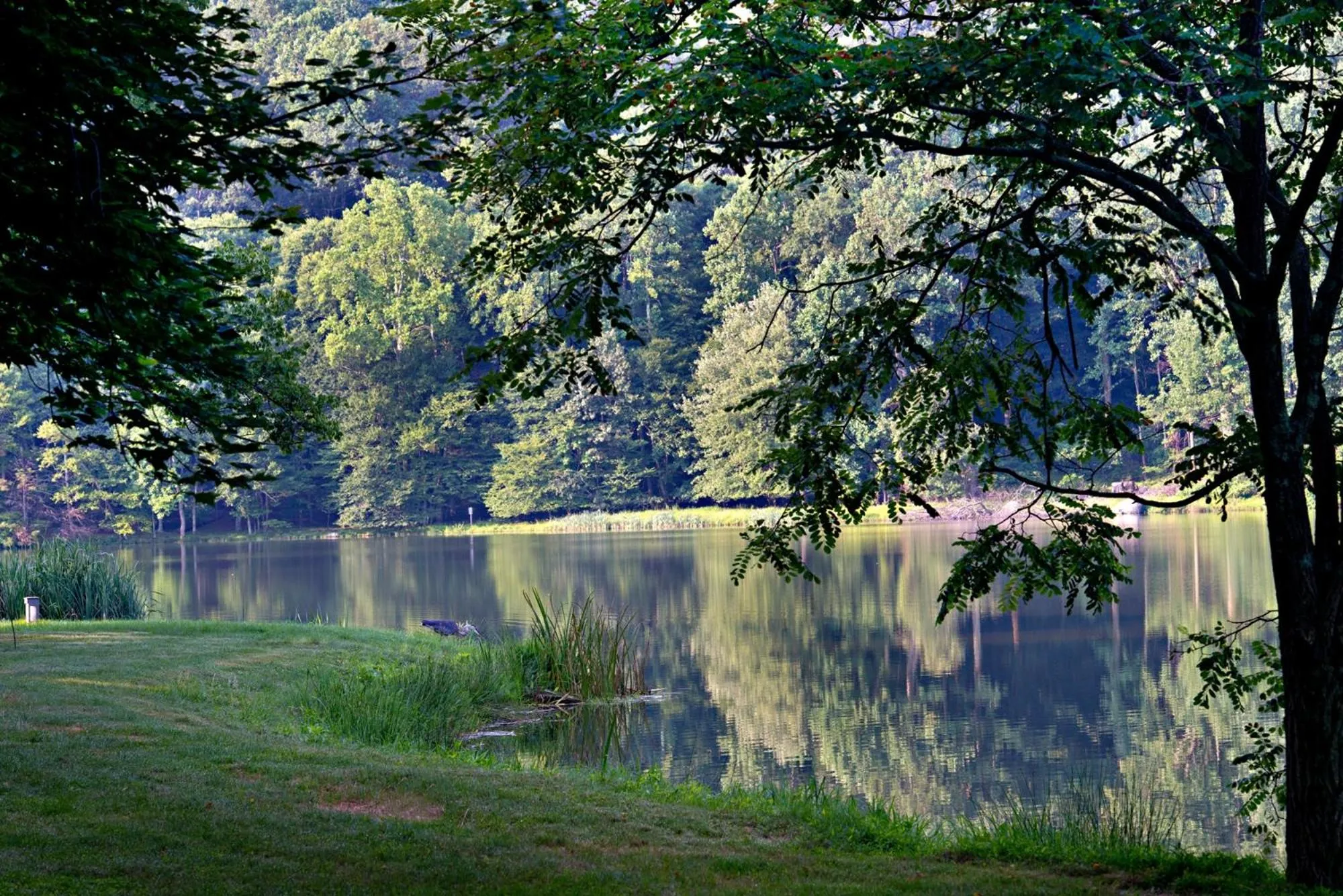 Peaks of Otter Lodge