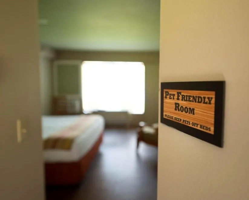 Bed in Peaks of Otter Lodge