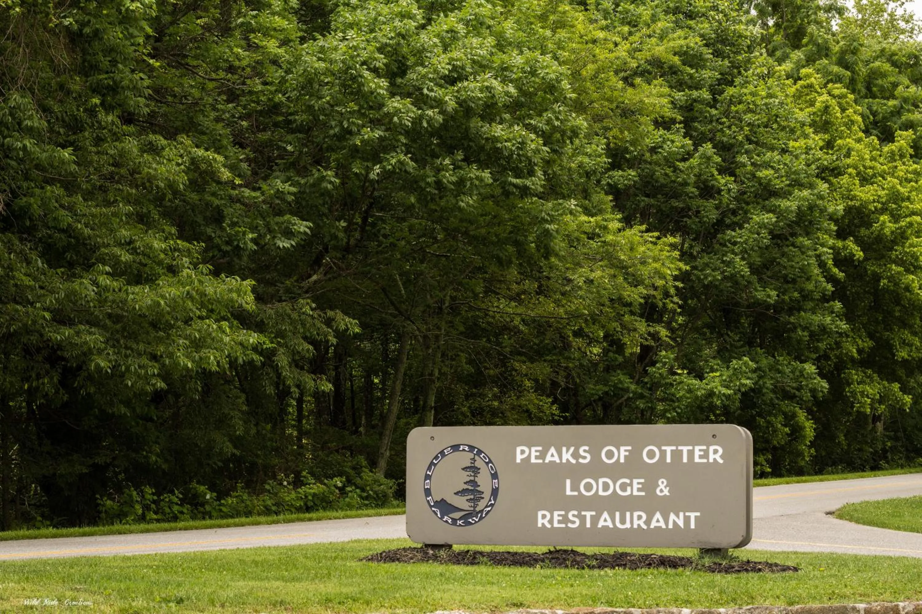 Peaks of Otter Lodge
