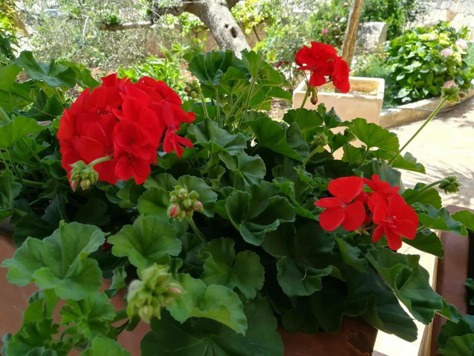 Property building in Residenza Aurora