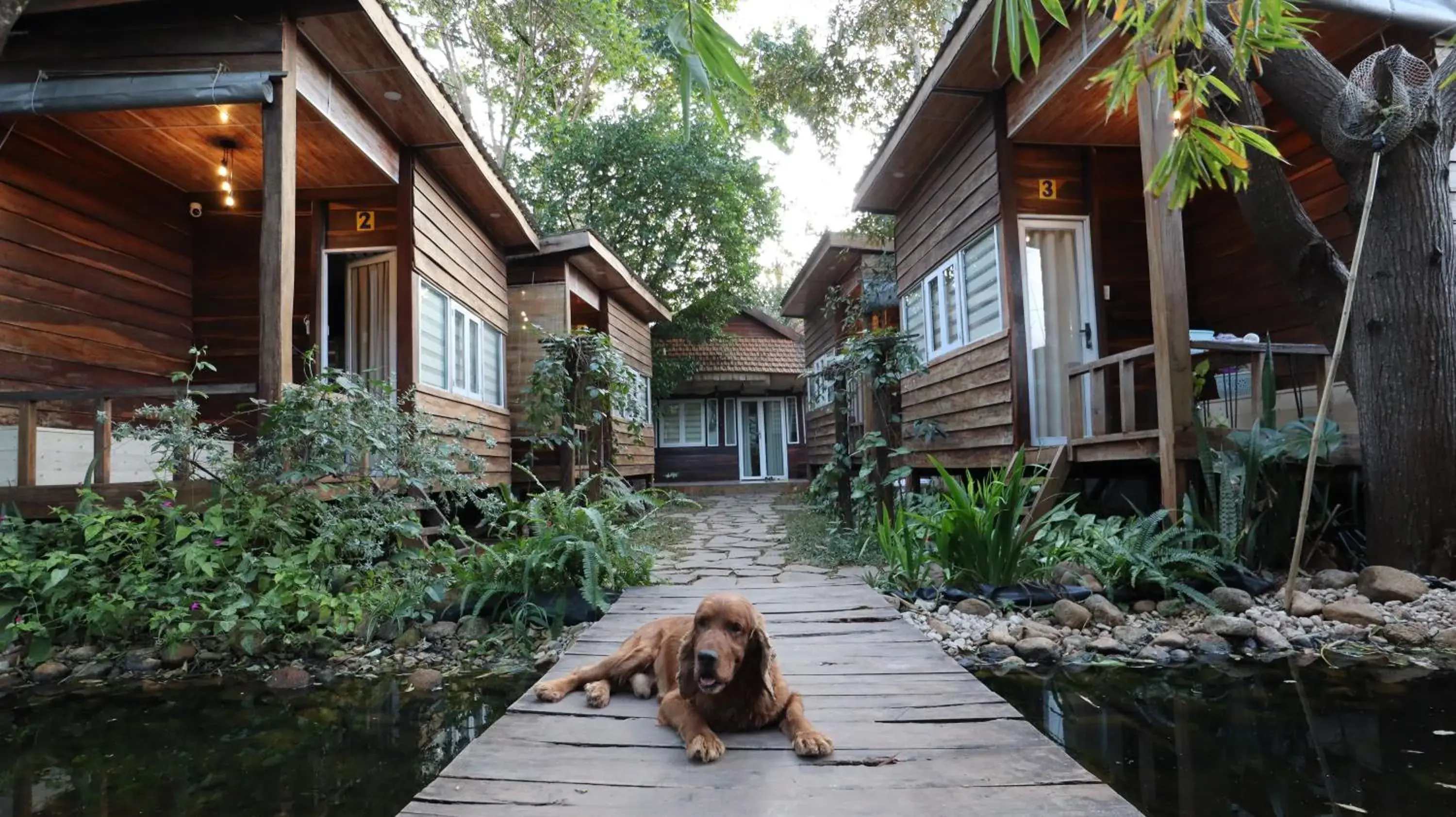 The 47 House Homestay BMT The 47 House Homestay BMT