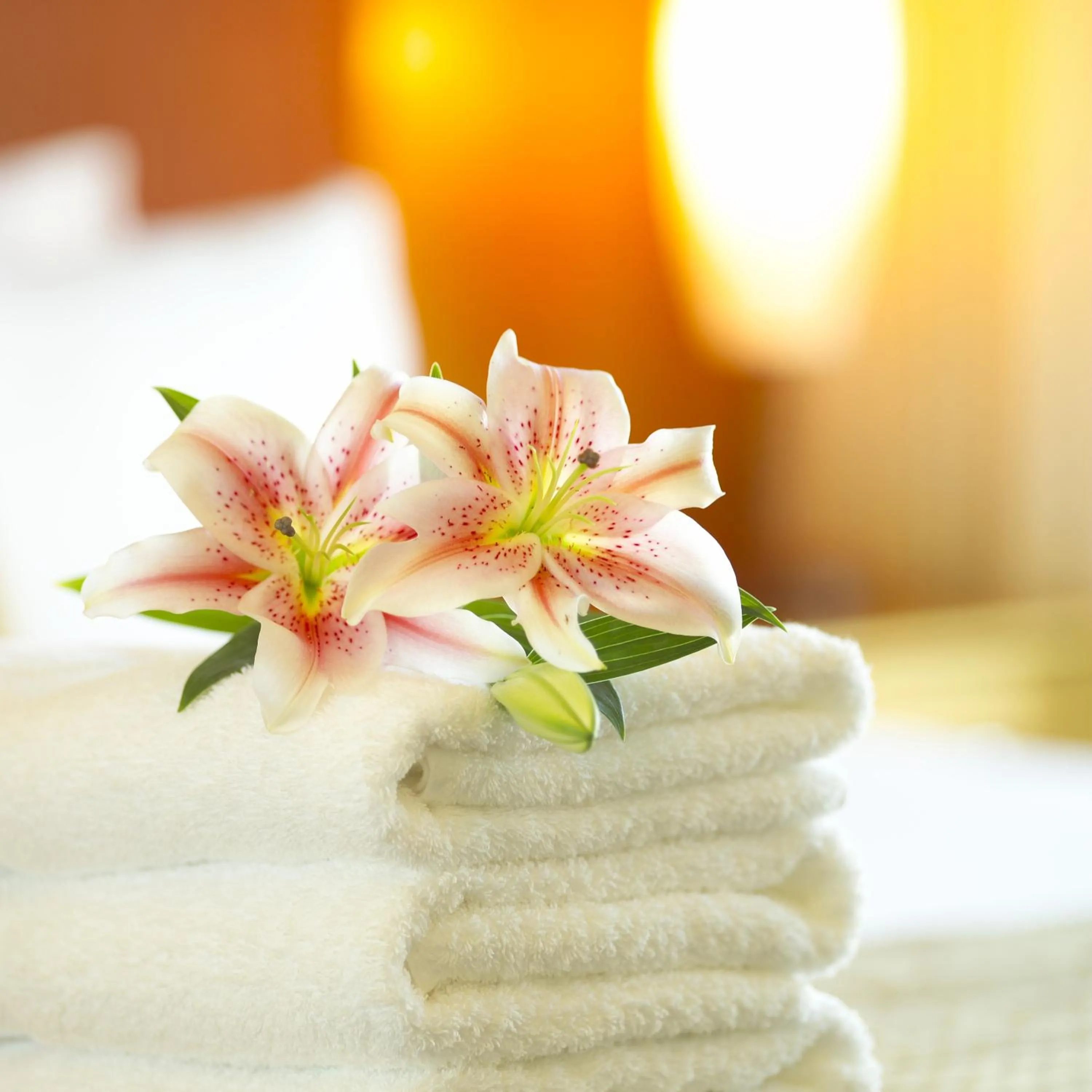 Decorative detail, Bed in Intercity Gravataí