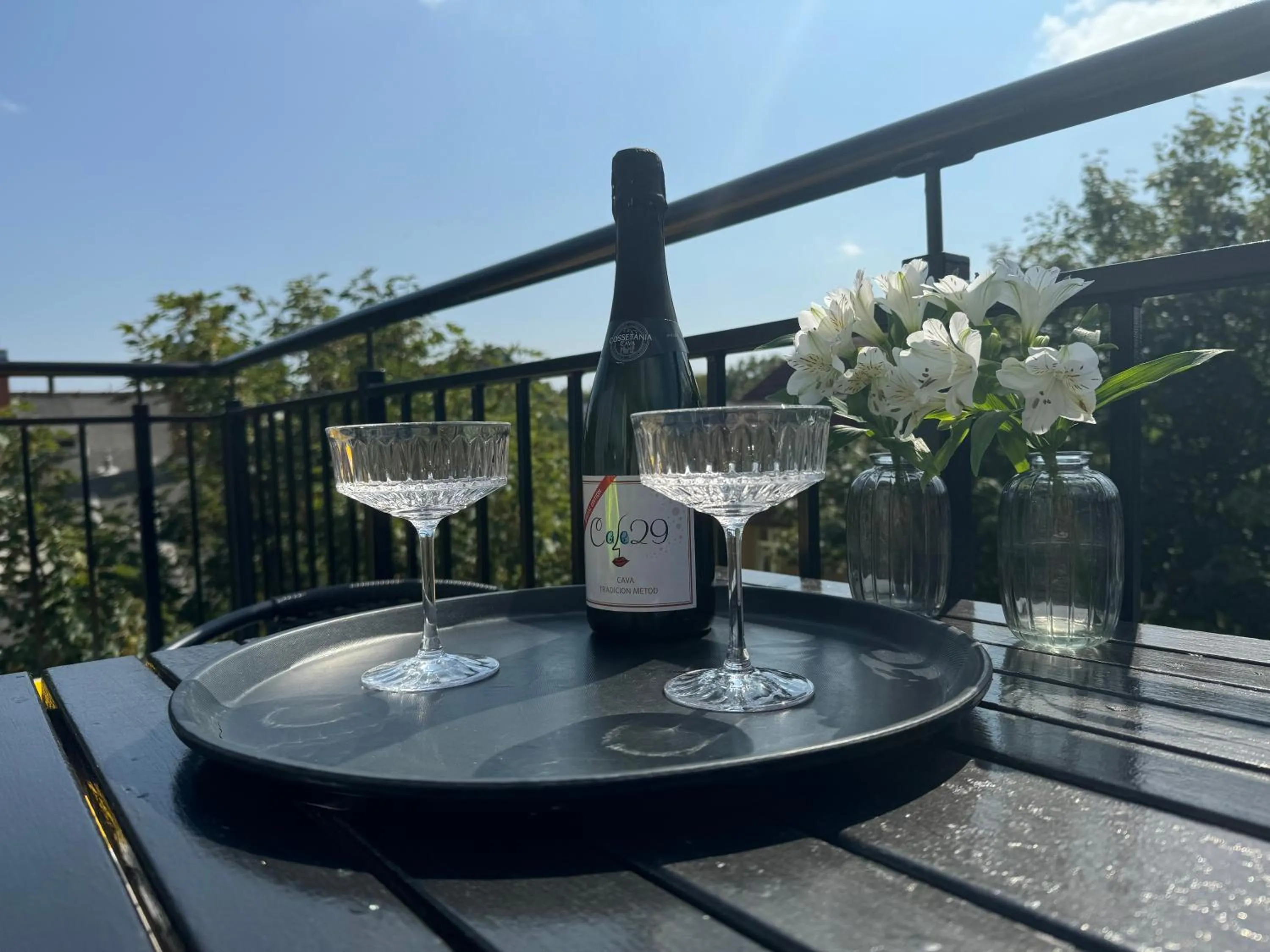 Balcony/Terrace in H Villa Herkules