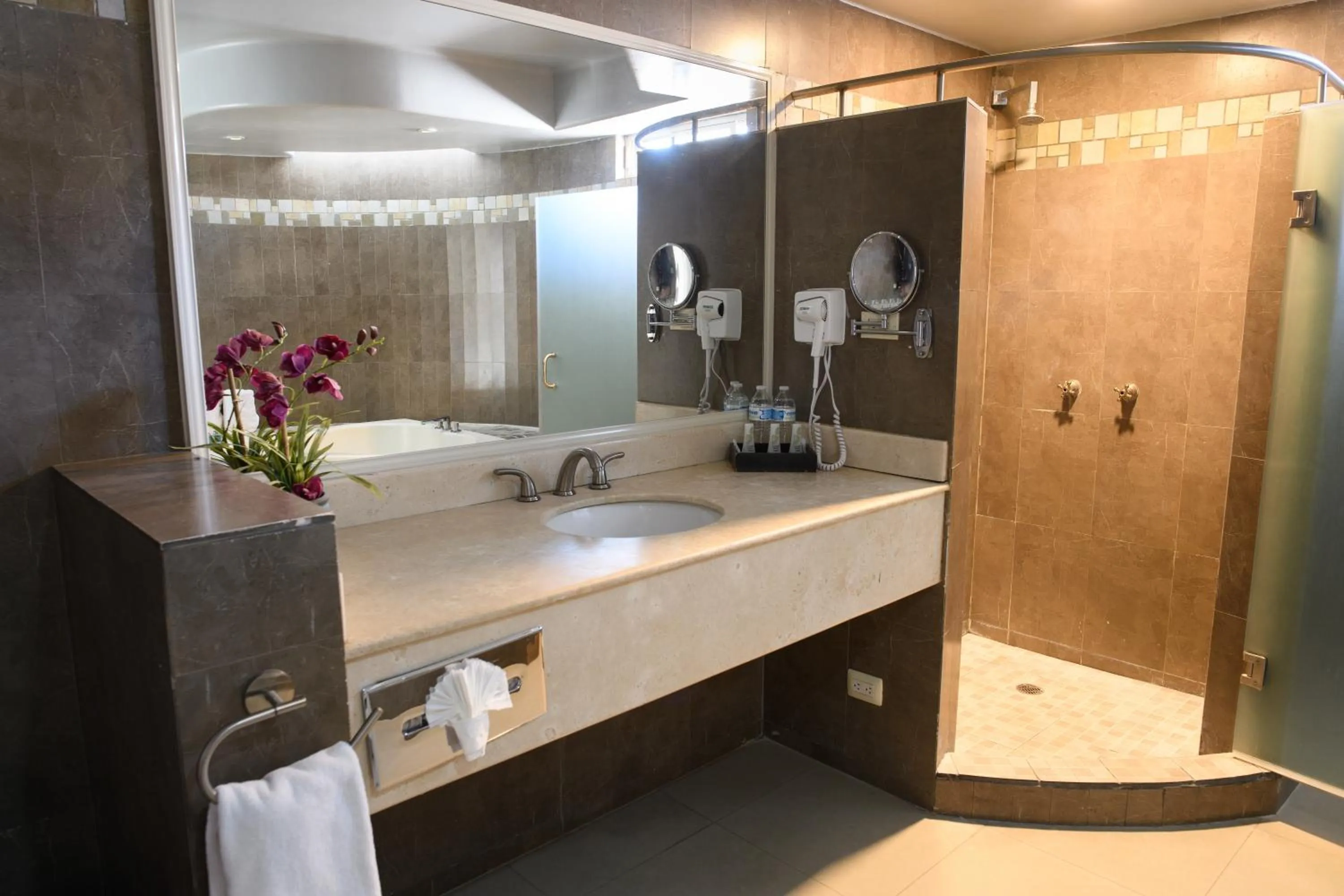 Shower in Hotel Santorian