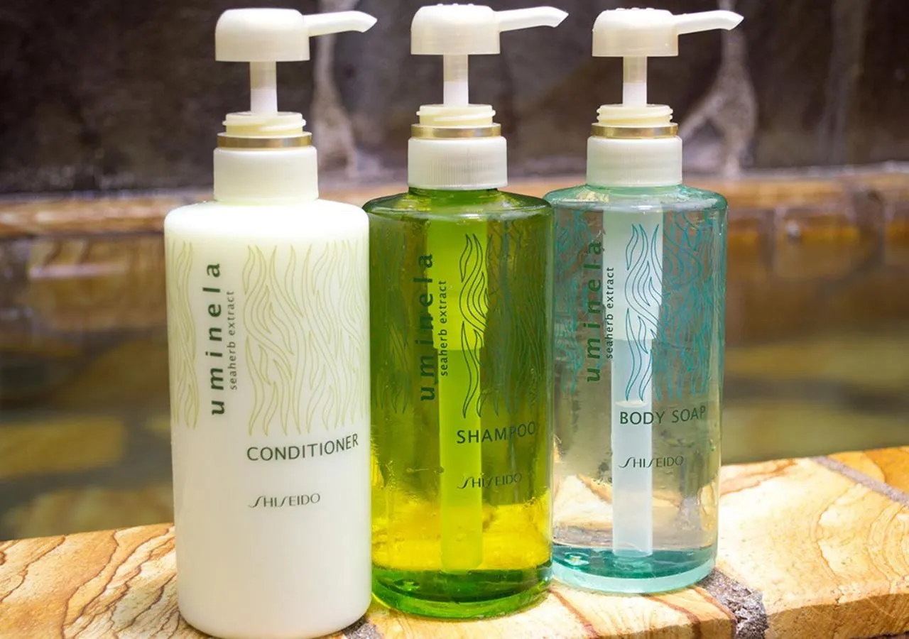 Spa and wellness centre/facilities in Asobe