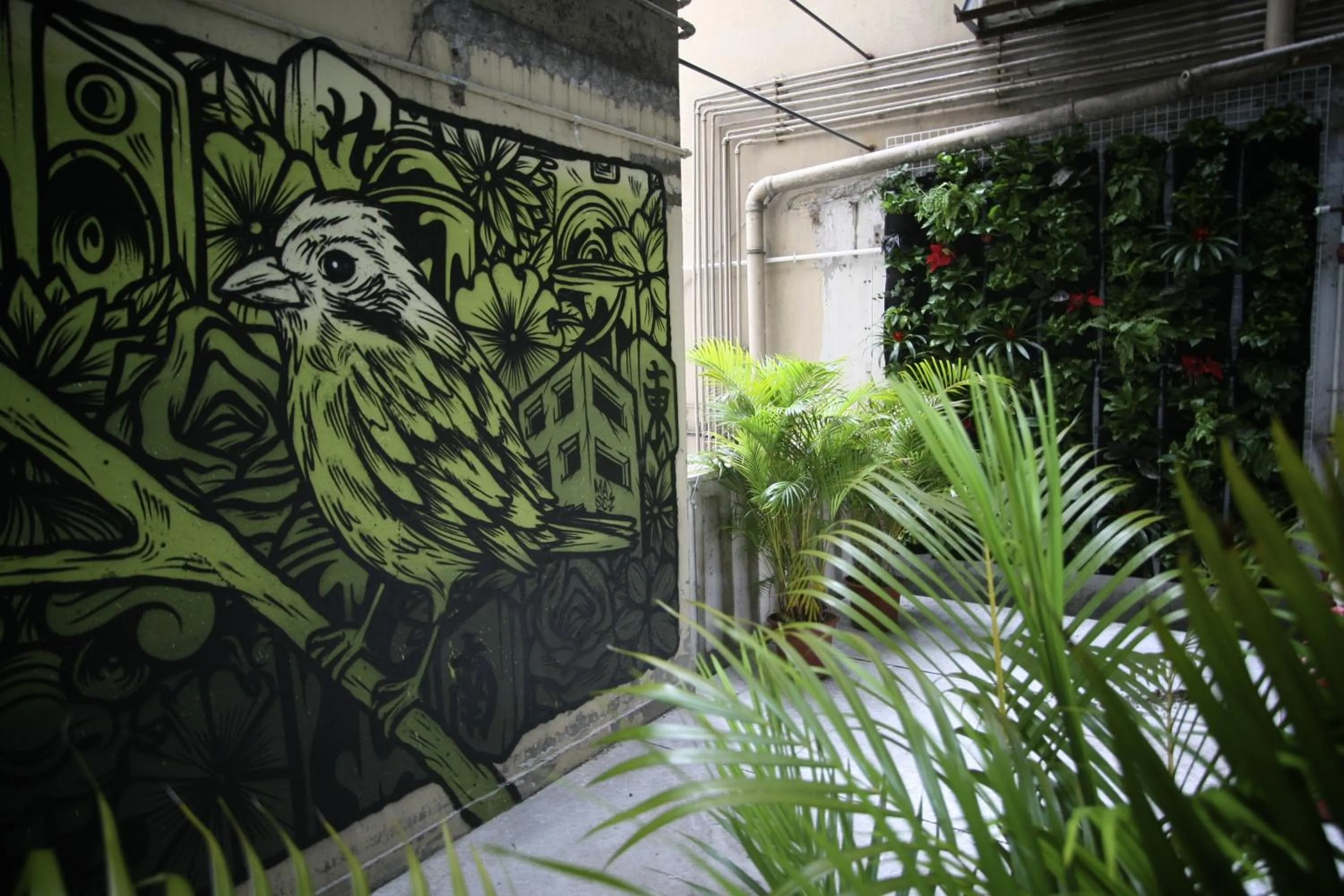 Garden in The Mahjong