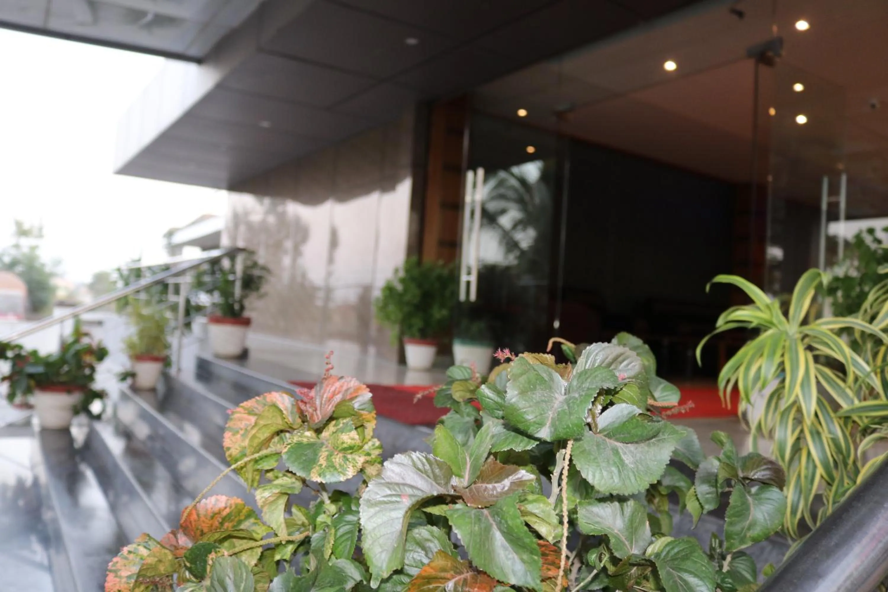 Hotel Vaishnavi Heights