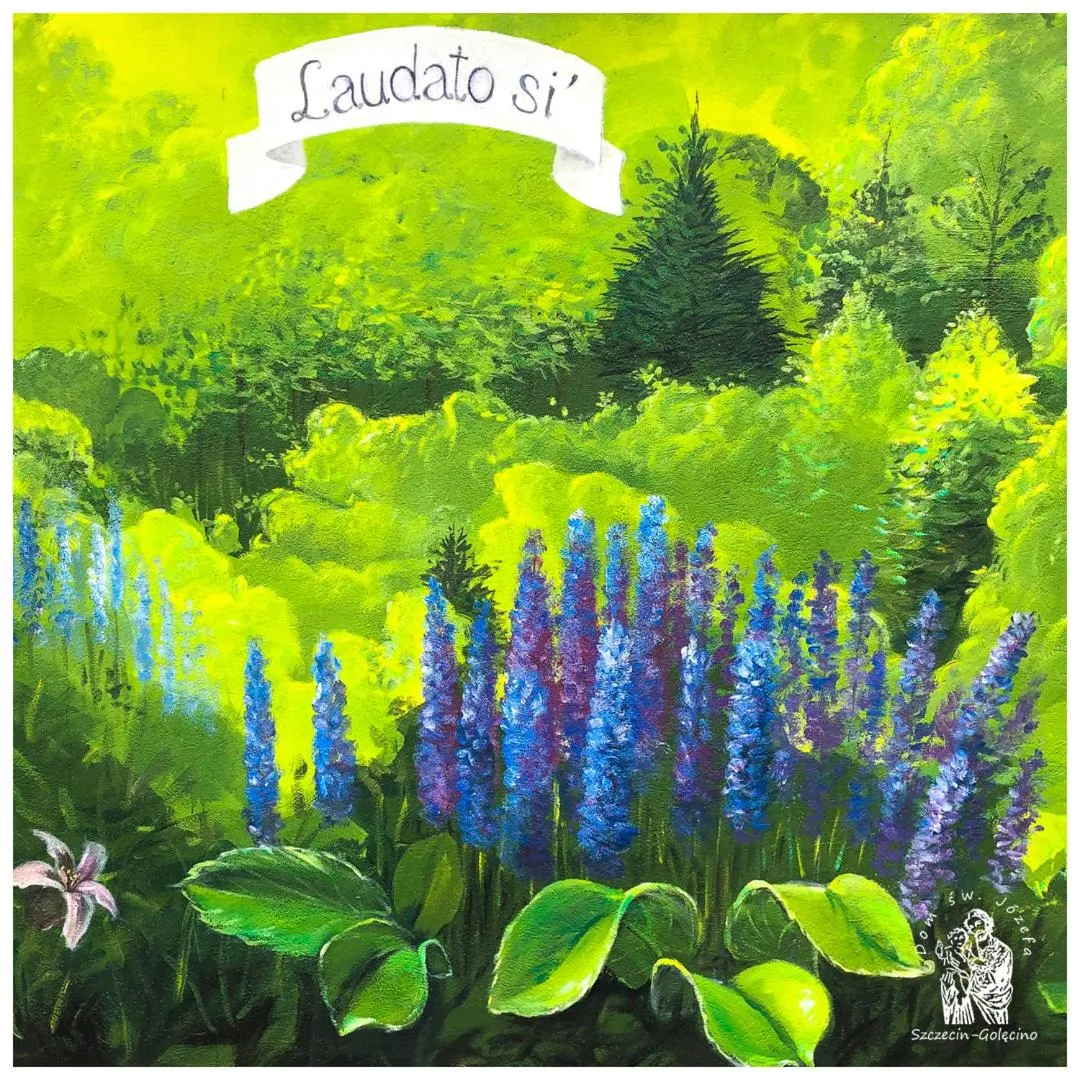 Area and facilities in Dom św. Józefa