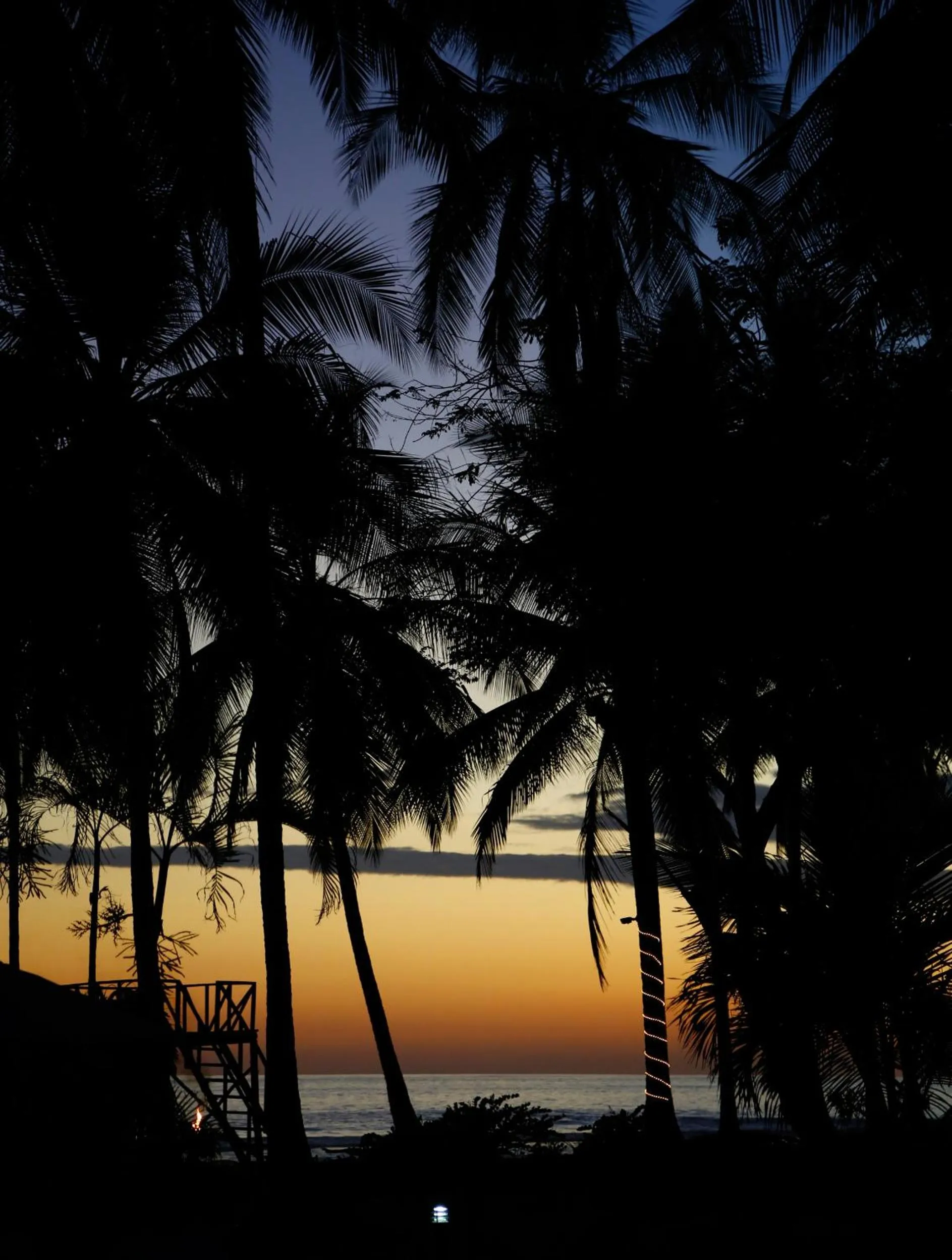 Natural landscape in Hotel Clandestino beach resort