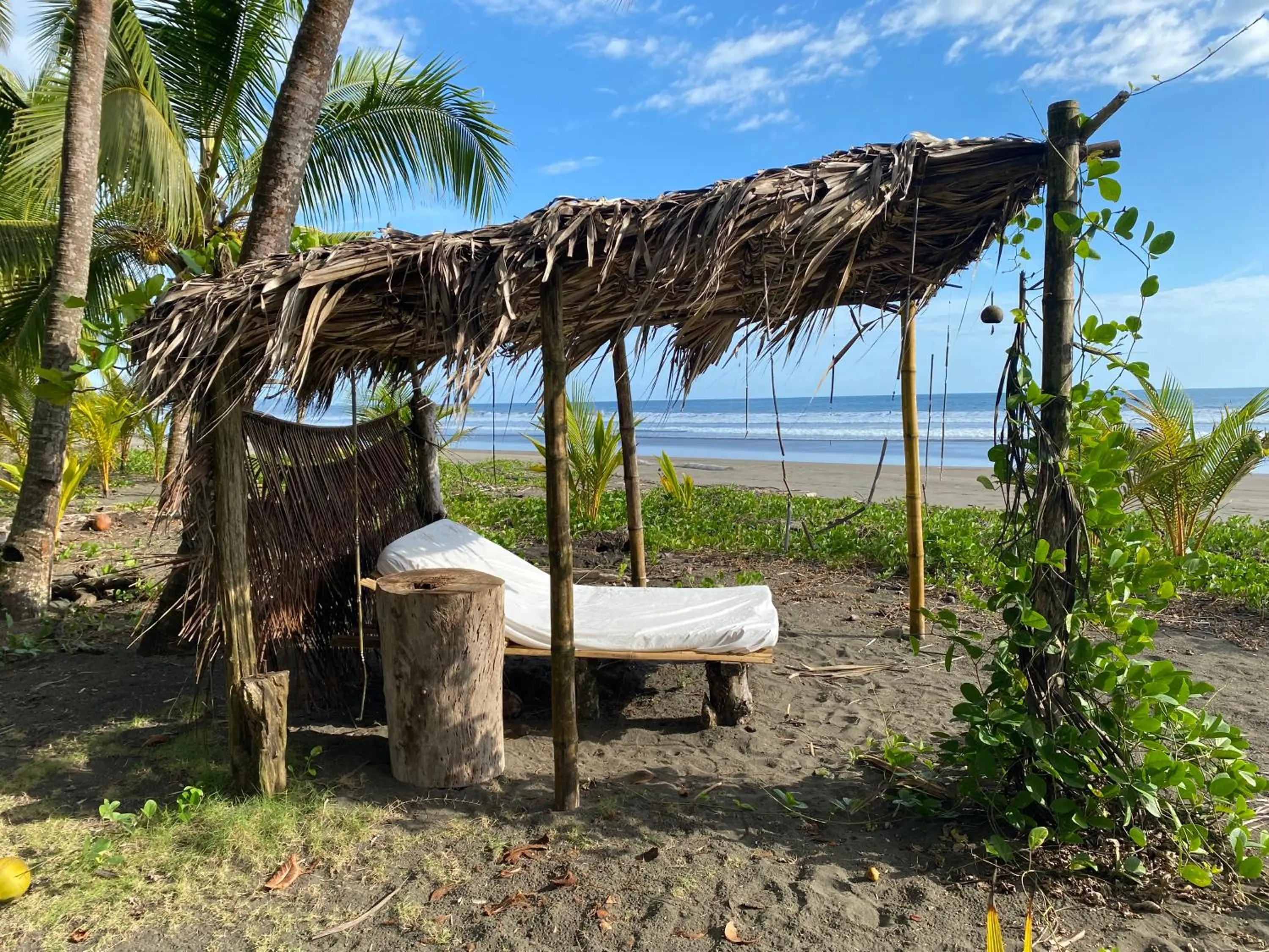 Beach in Hotel Clandestino beach resort