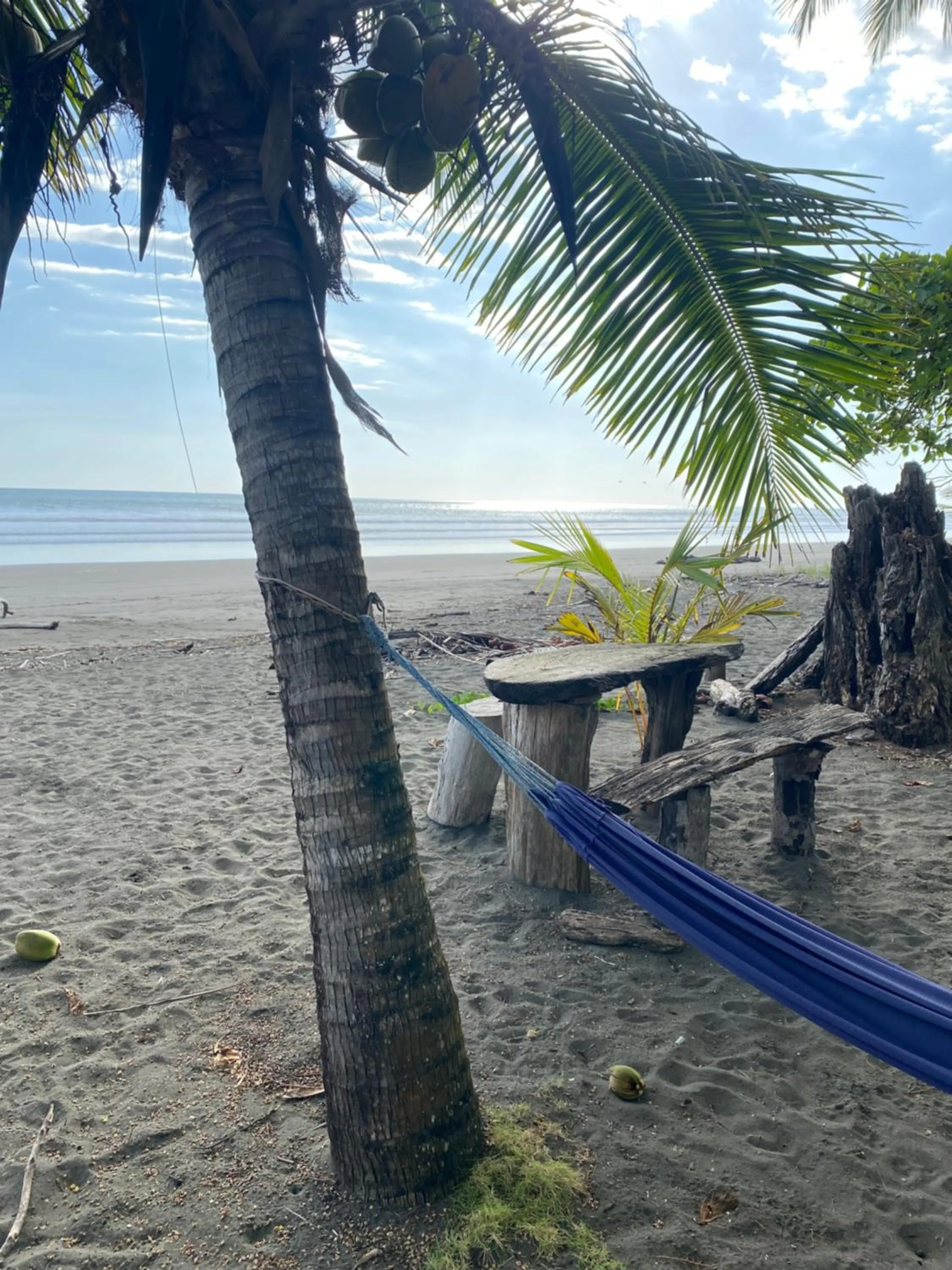 Beach in Hotel Clandestino beach resort