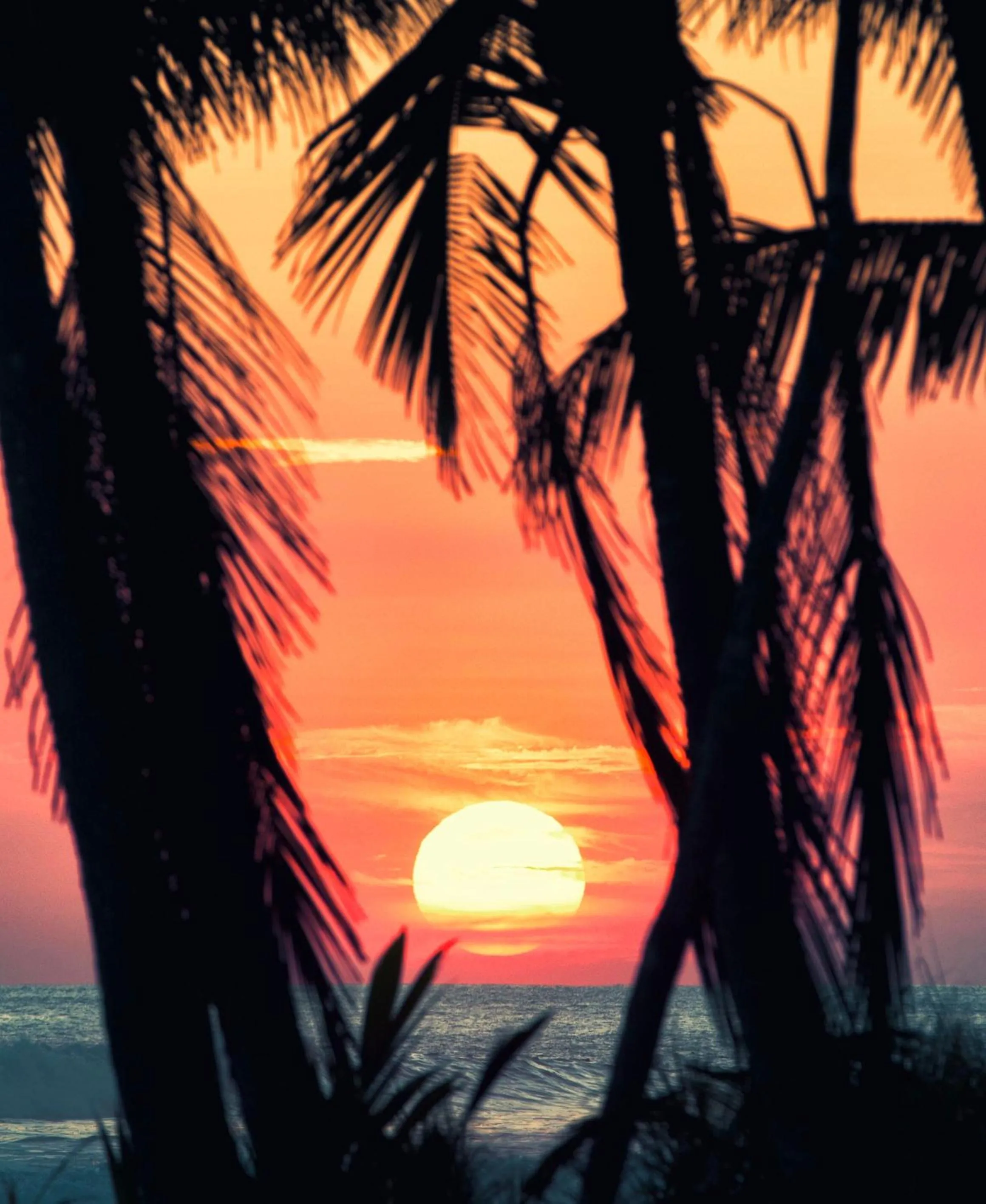 Natural landscape in Hotel Clandestino beach resort