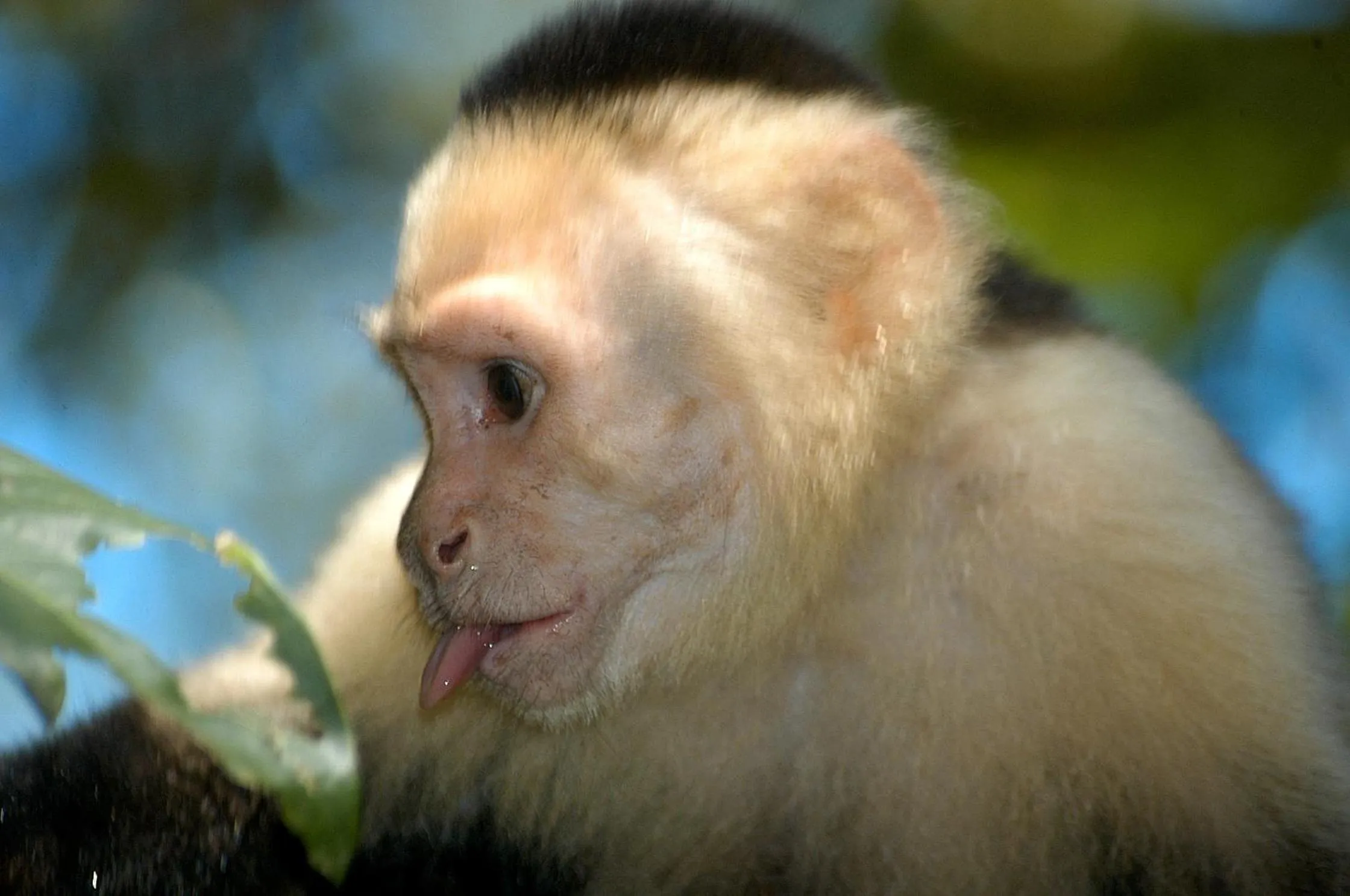 Garden in Hotel Clandestino beach resort