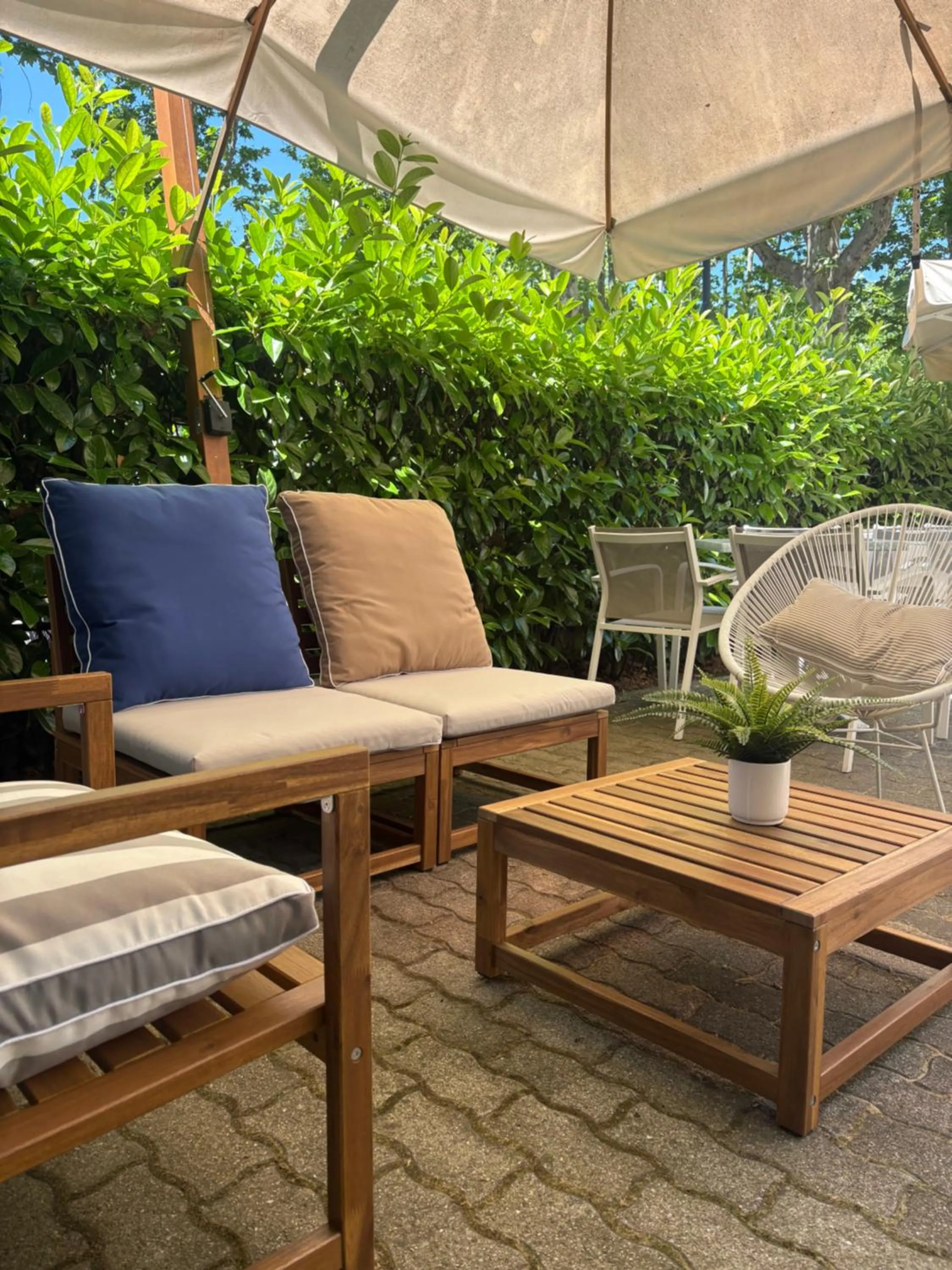 Garden in Hotel Dolcevita