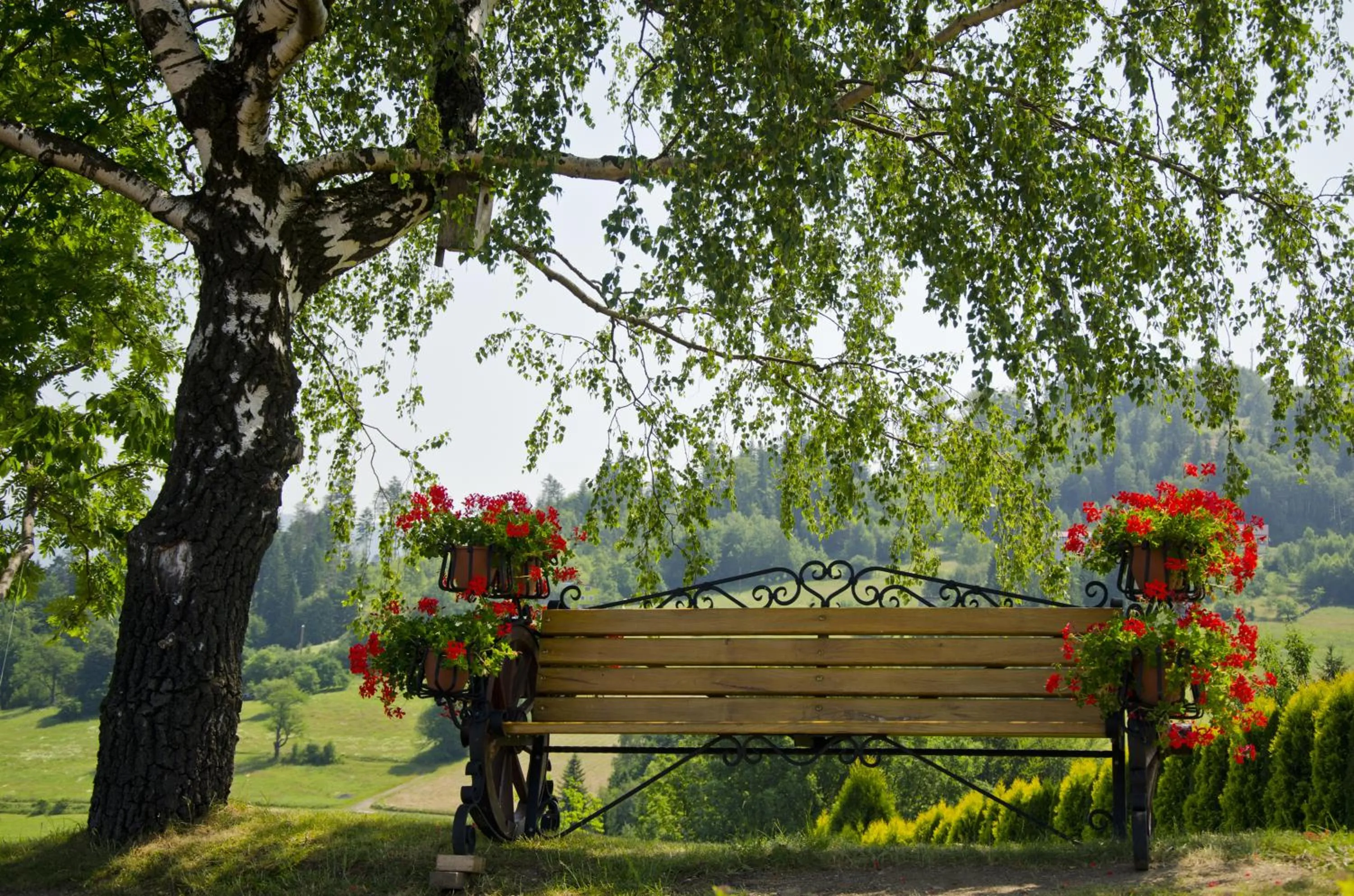 Natural landscape in Karolowy Dwór - Mountain Spa & Relax