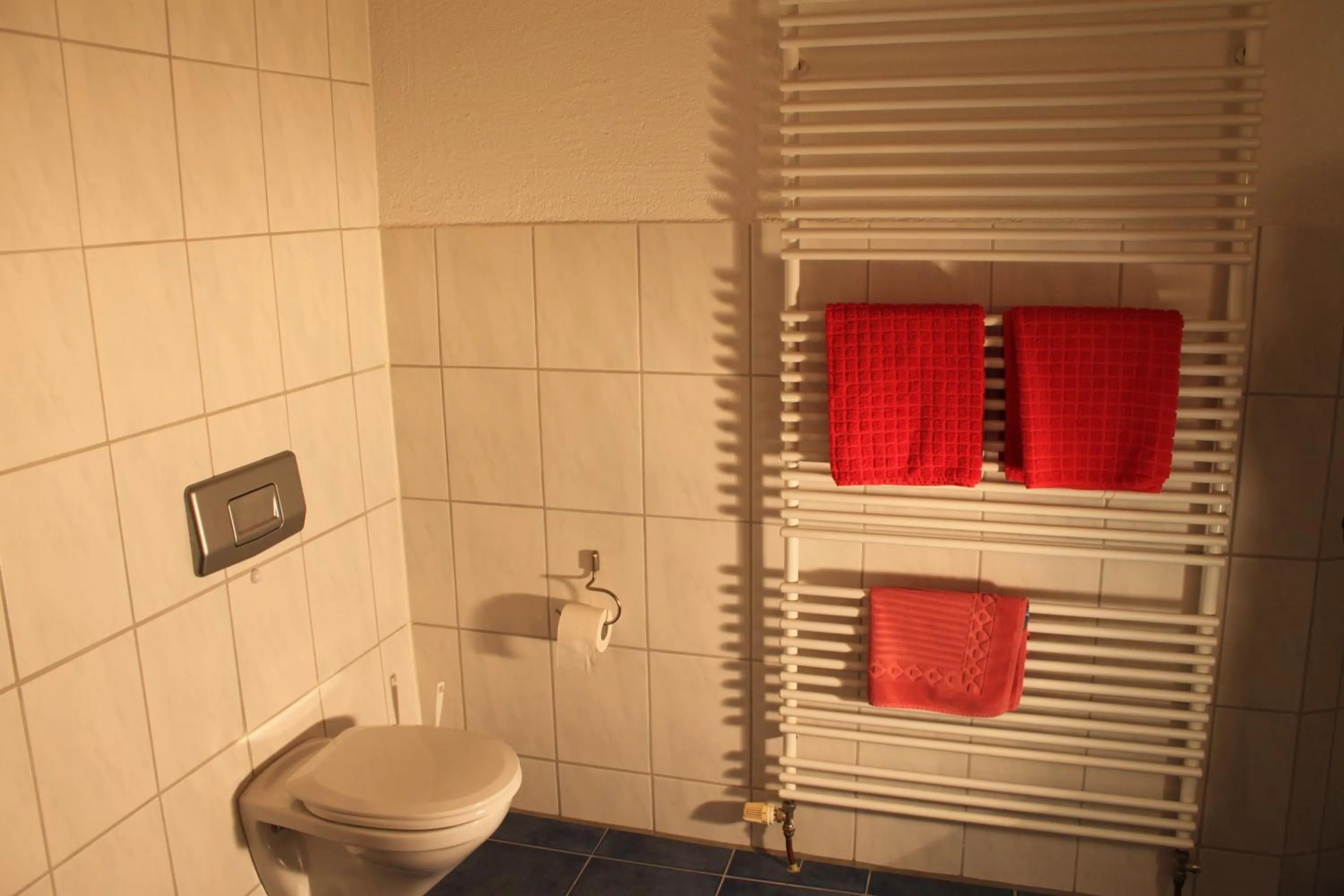 Toilet in Landhaus Goldenes Kreuz