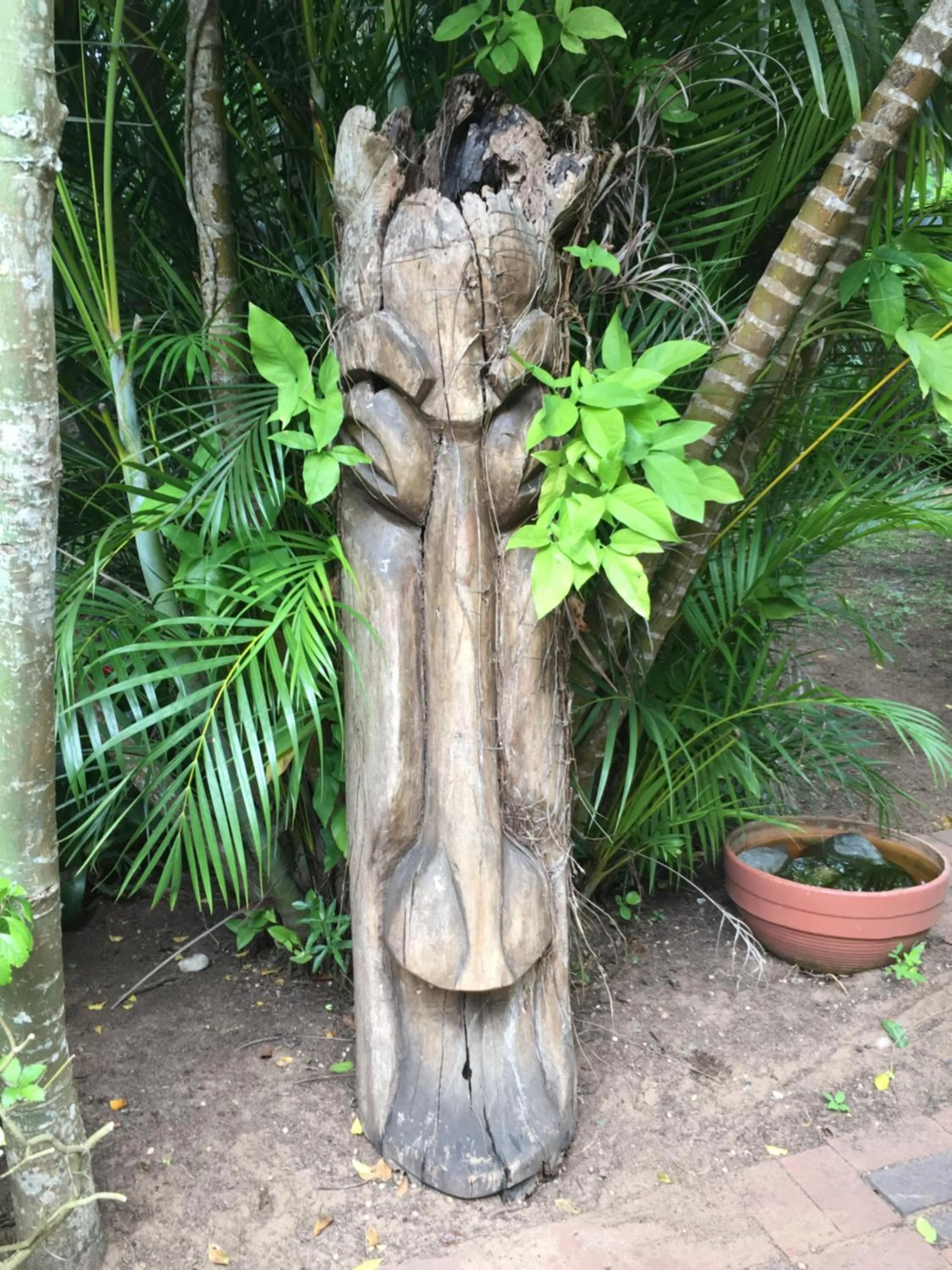 Garden in St Lucia Kingfisher Lodge