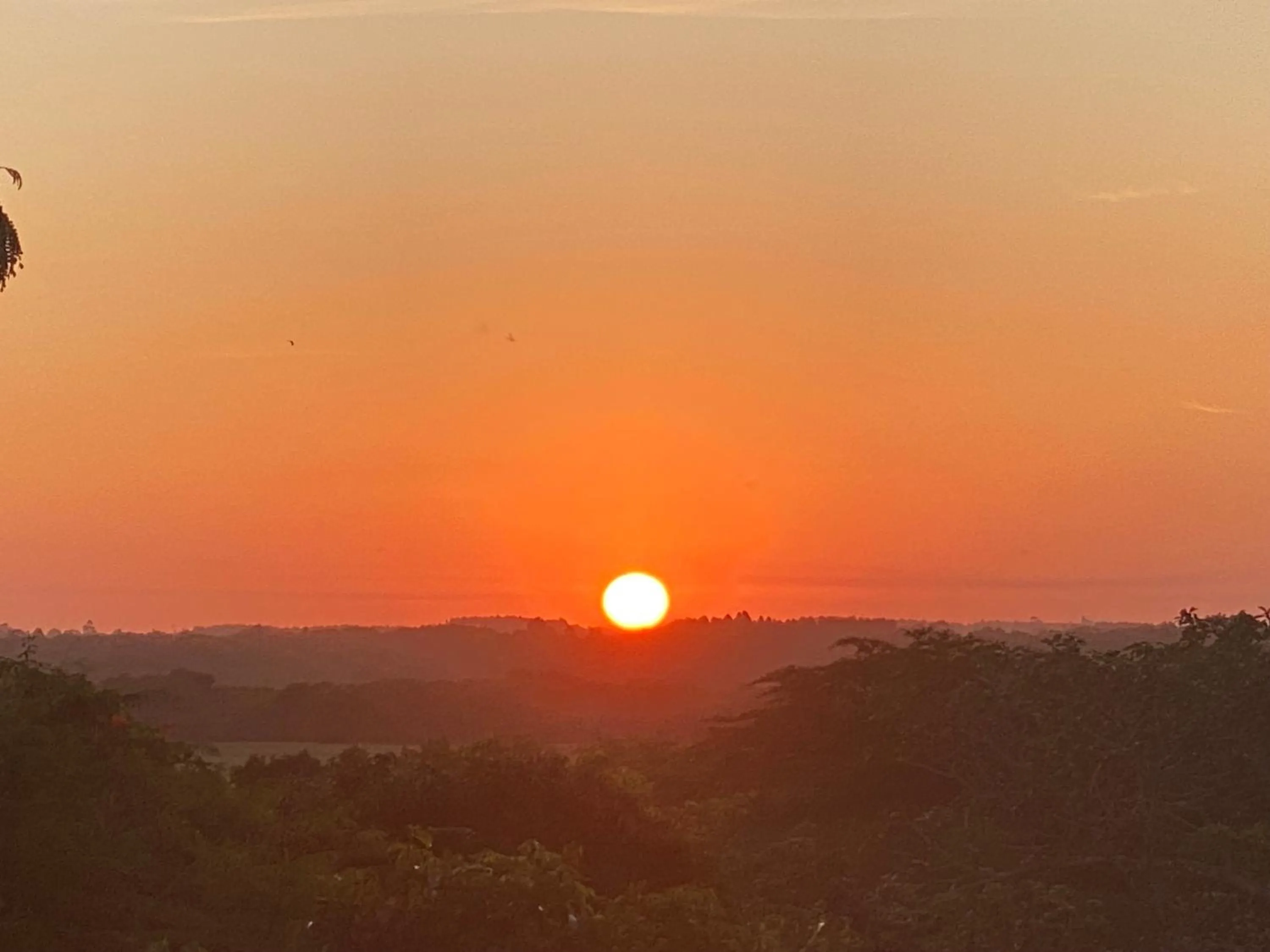 St Lucia Kingfisher Lodge