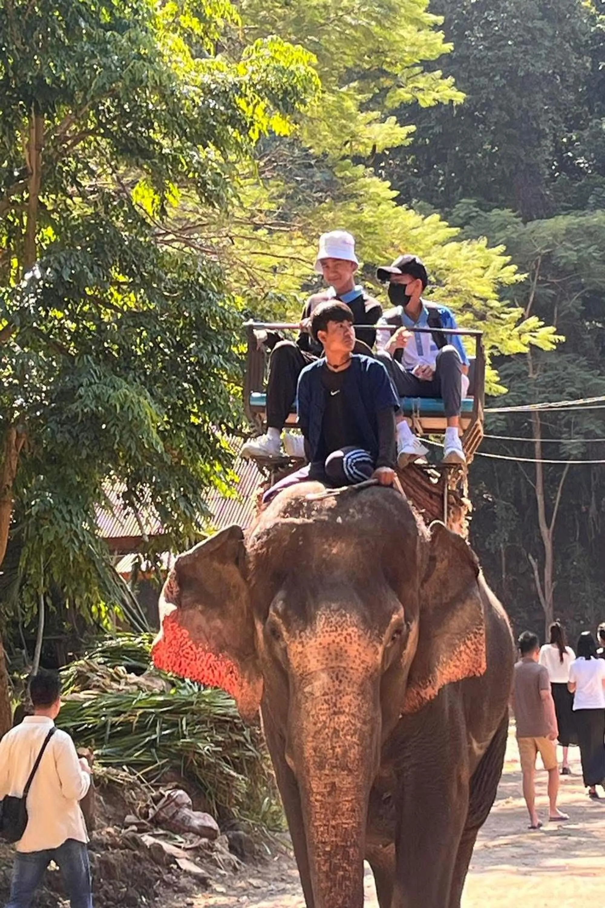 group of guests in Tung Lakorn Farm