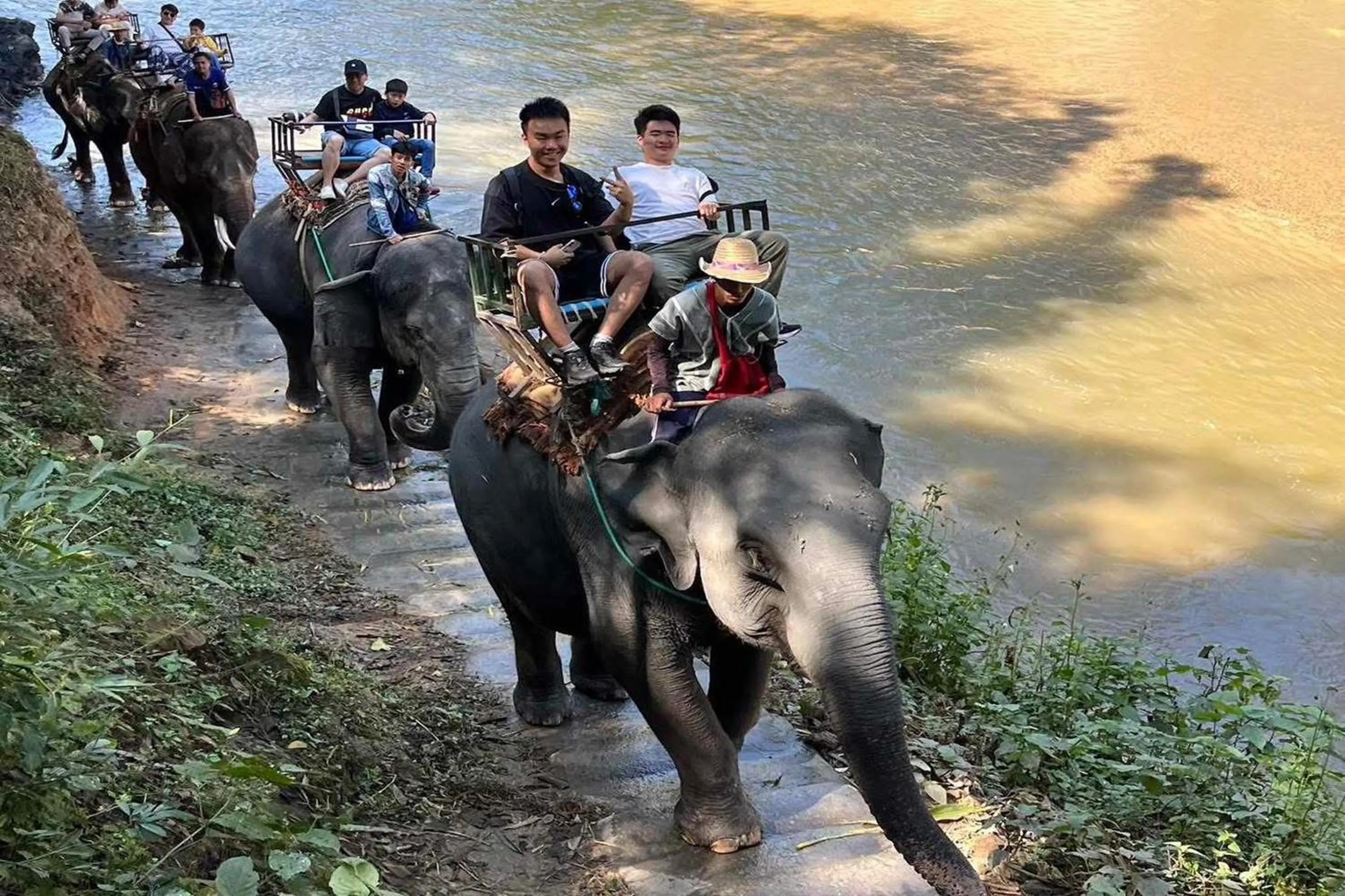 group of guests in Tung Lakorn Farm