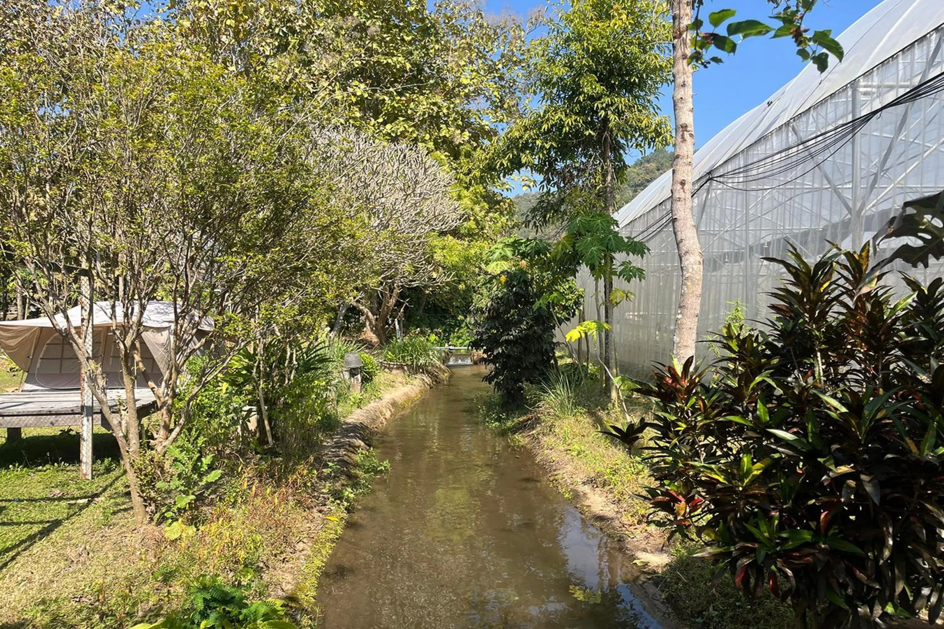 Garden in Tung Lakorn Farm