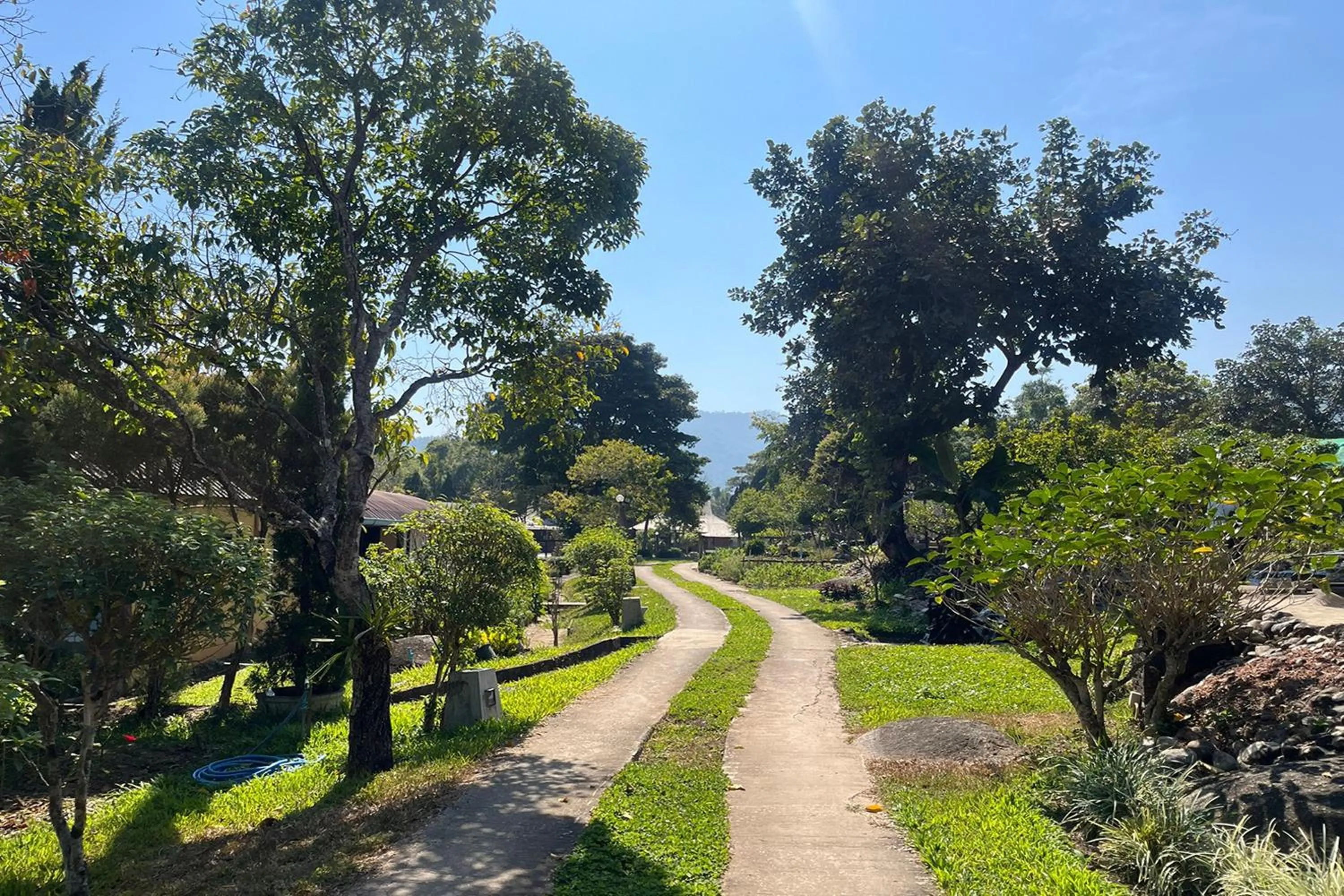 Garden in Tung Lakorn Farm