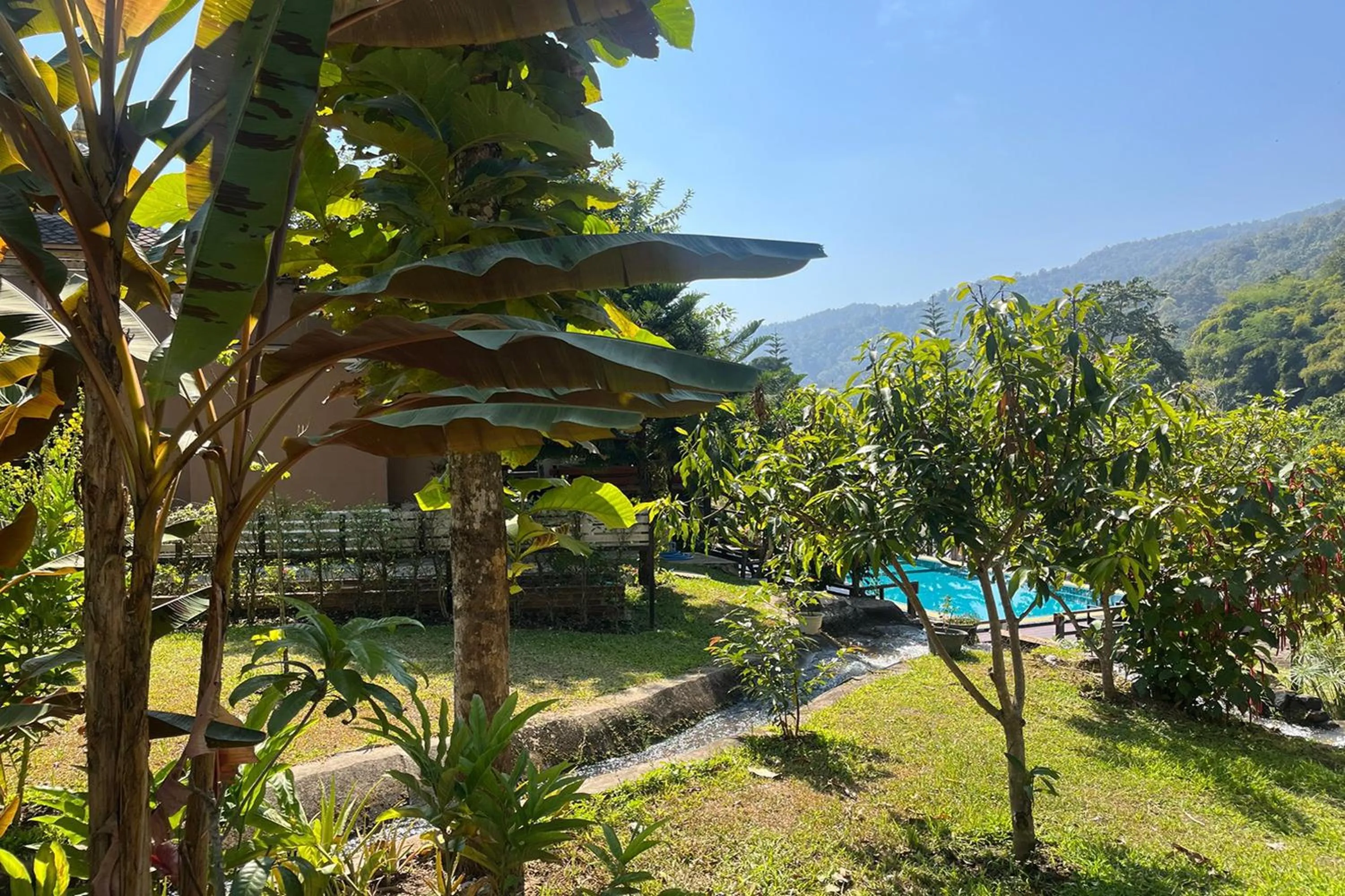 Garden in Tung Lakorn Farm