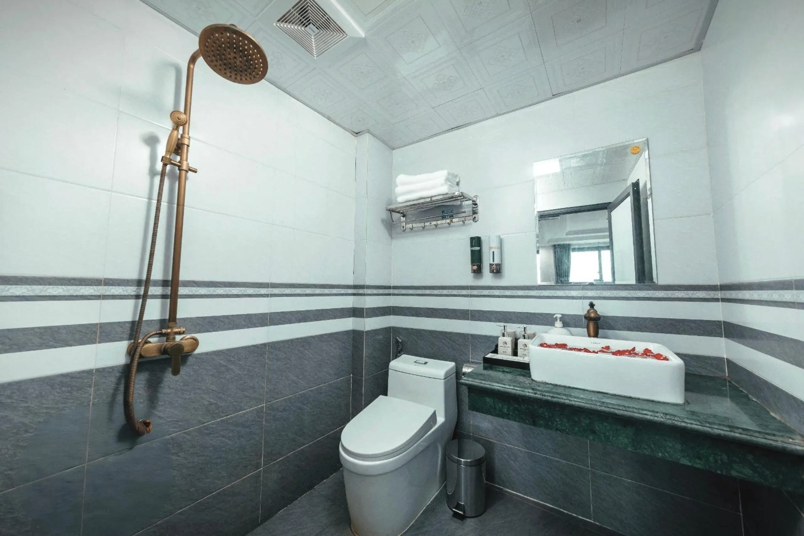 Toilet in Central Sapa March Hotel