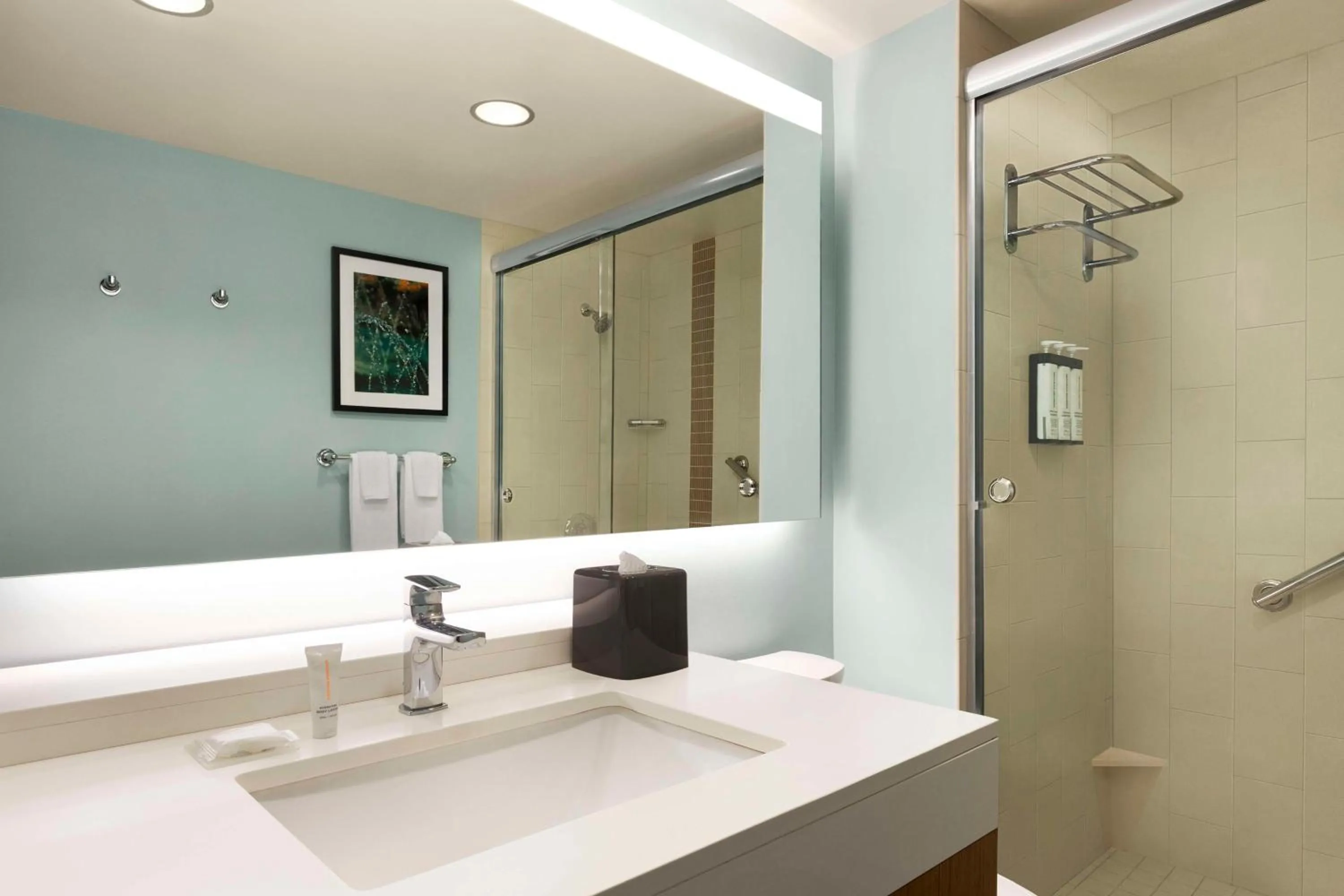 Bathroom in Hyatt Place Columbia/Downtown/The Vista