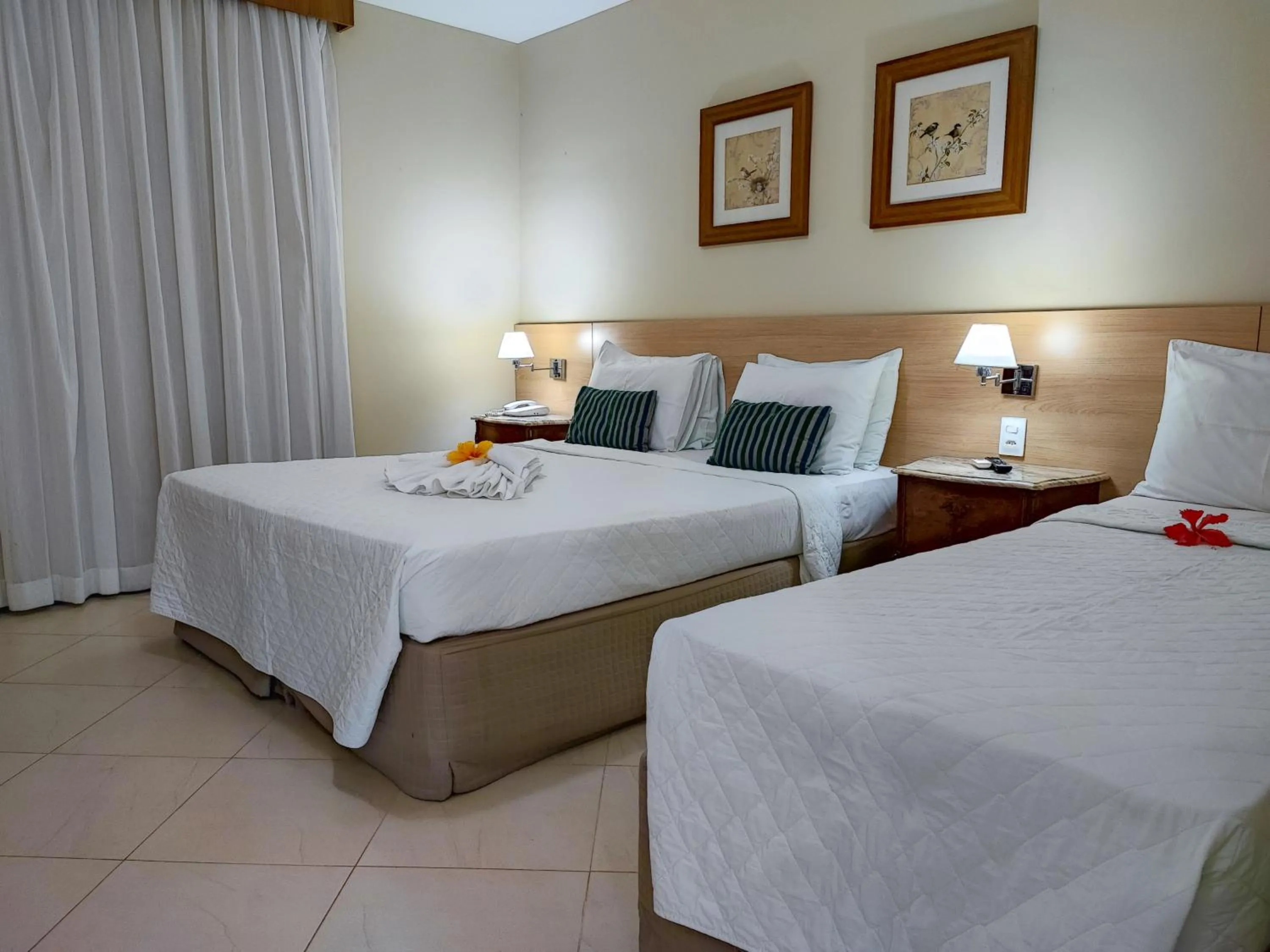 Photo of the whole room, Bed in Hotel Coral Beach