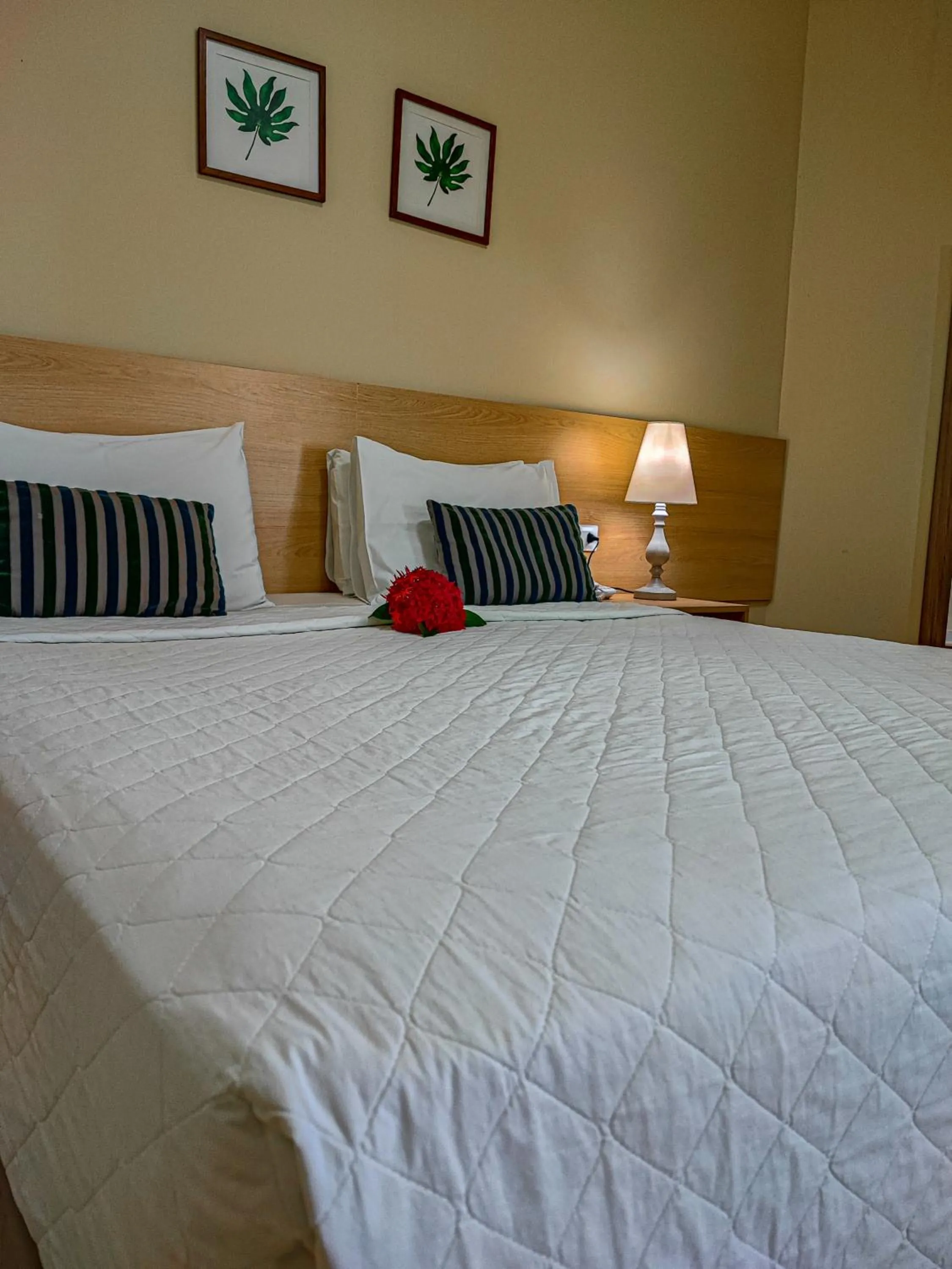 Photo of the whole room, Bed in Hotel Coral Beach