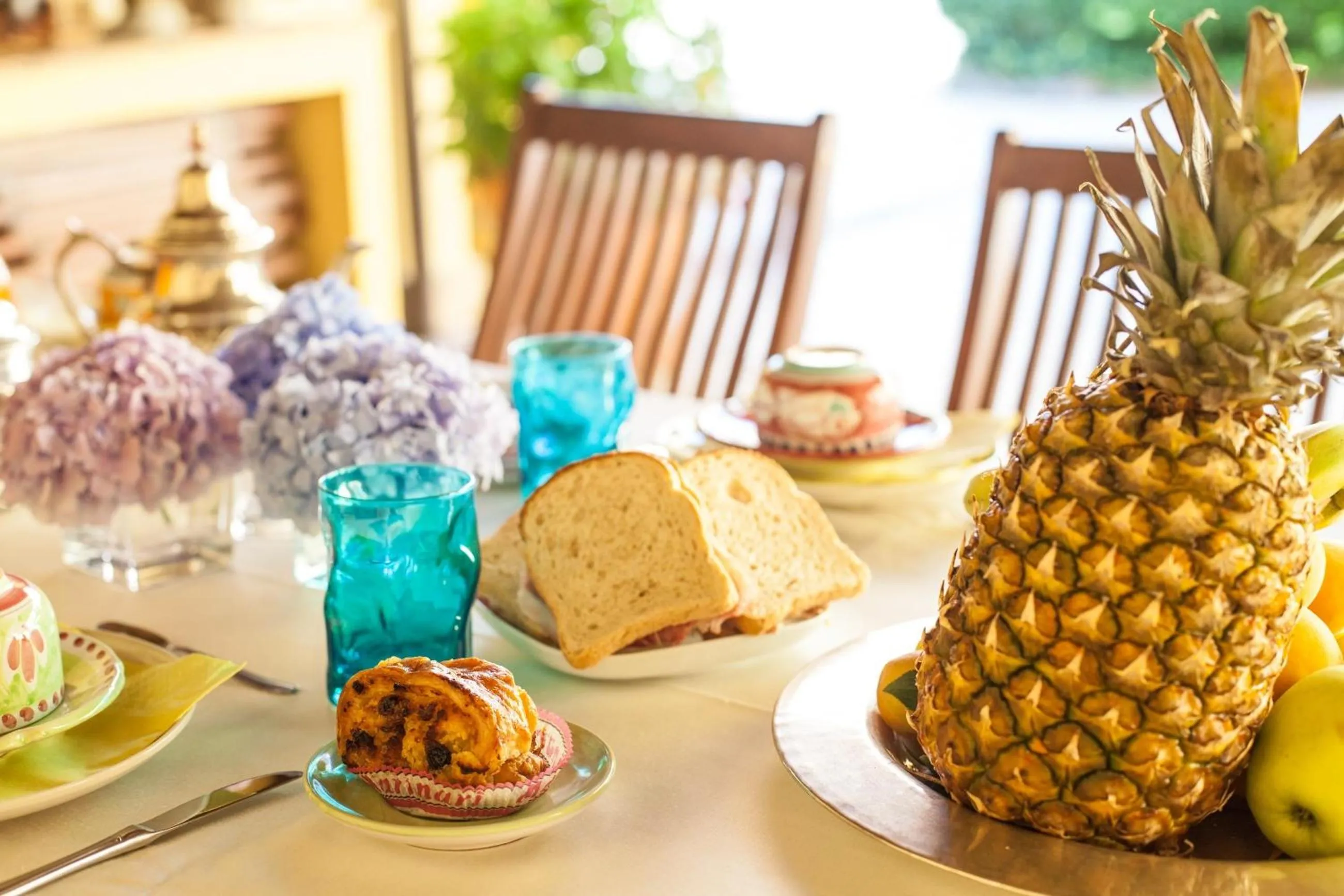 Garden in Villa Paganini B&B